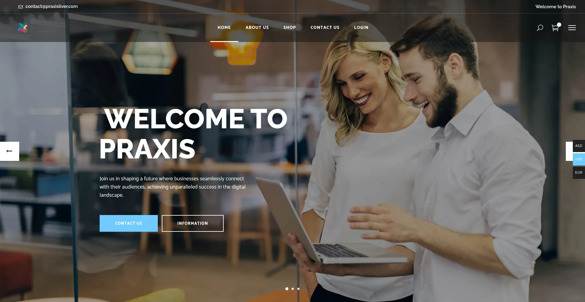 Website screenshot of Praxisilver.com