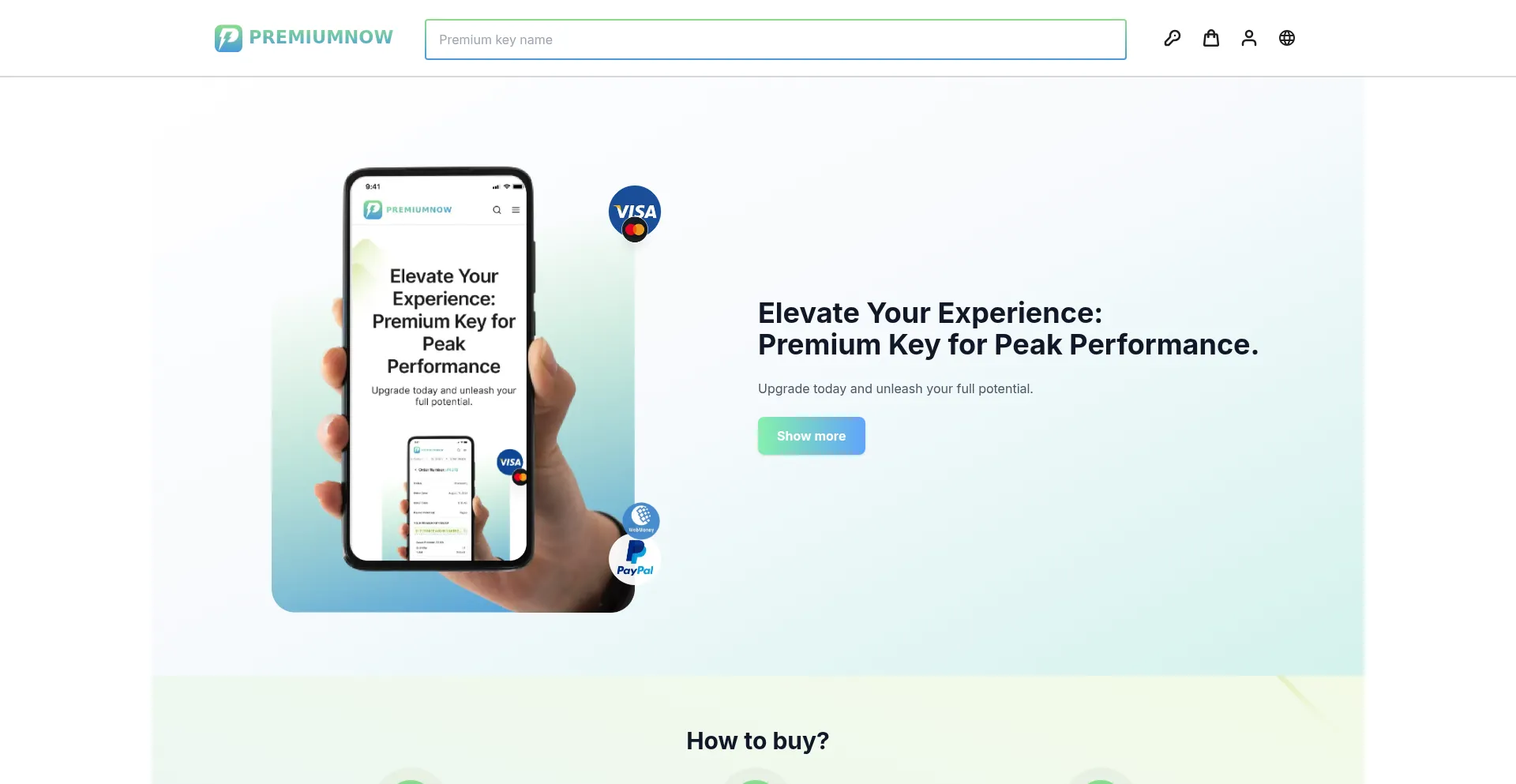 Website screenshot of Premiumnow.net