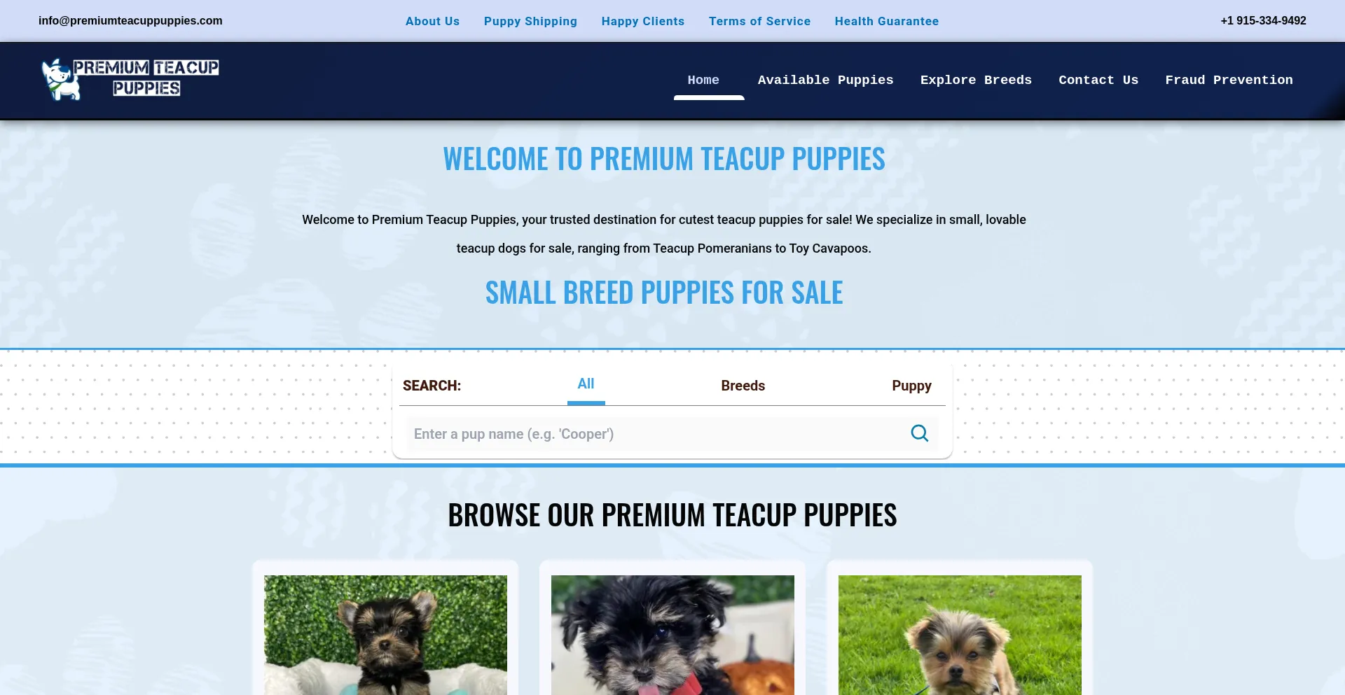 Premiumteacuppuppies.com