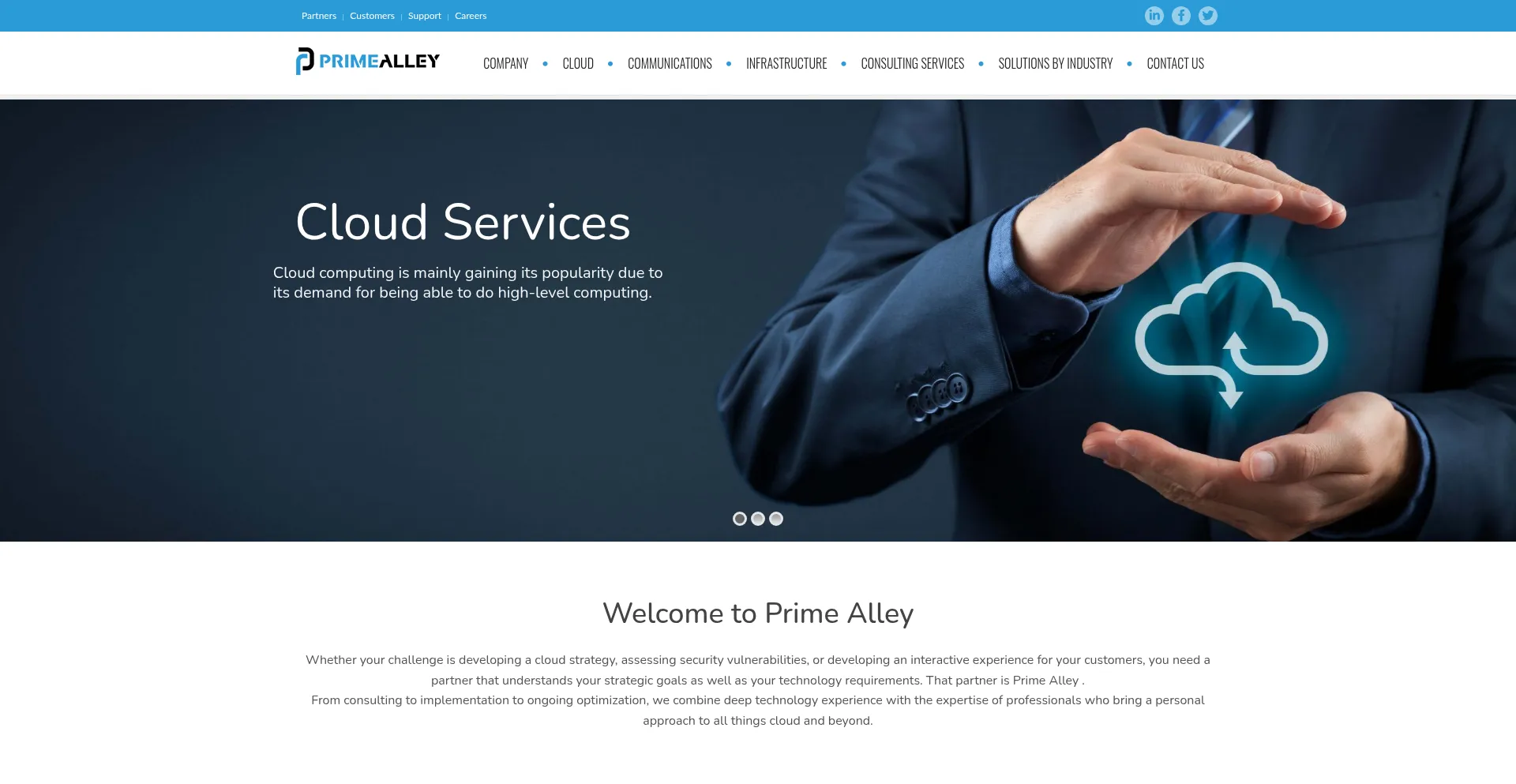 Website screenshot of Primealley.com