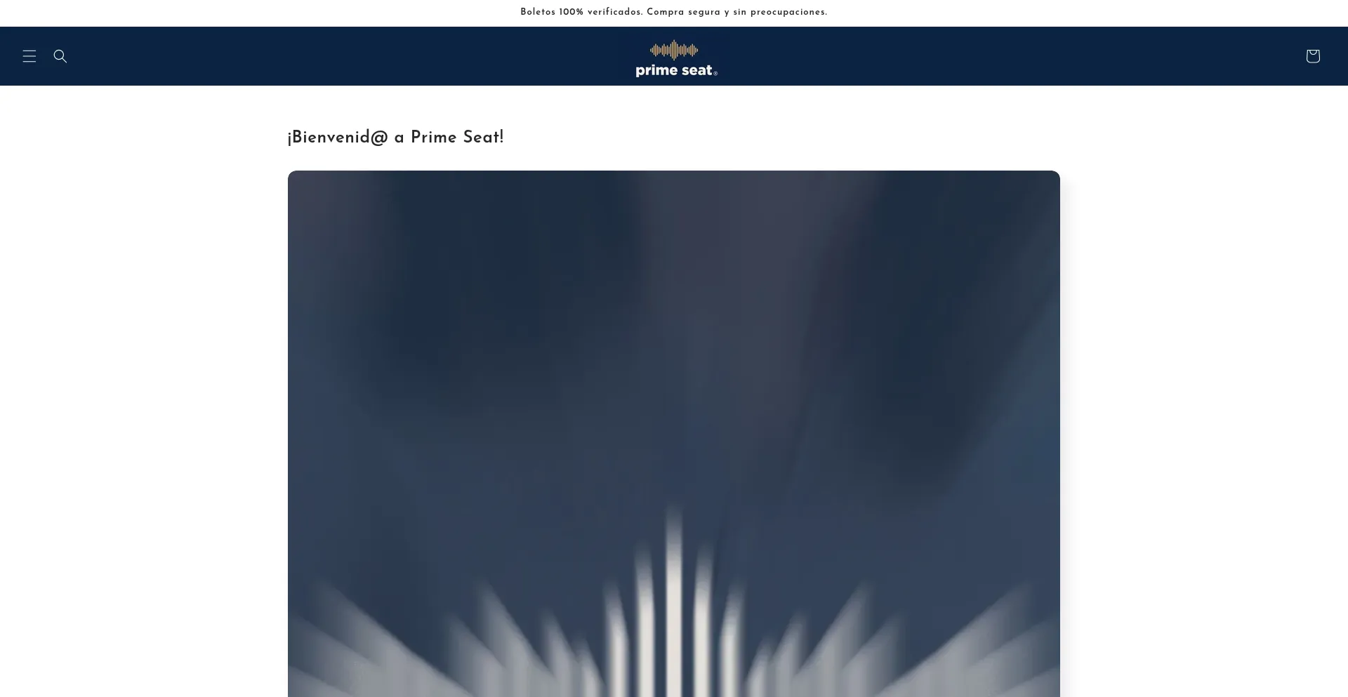 Website screenshot of Primeseat.shop