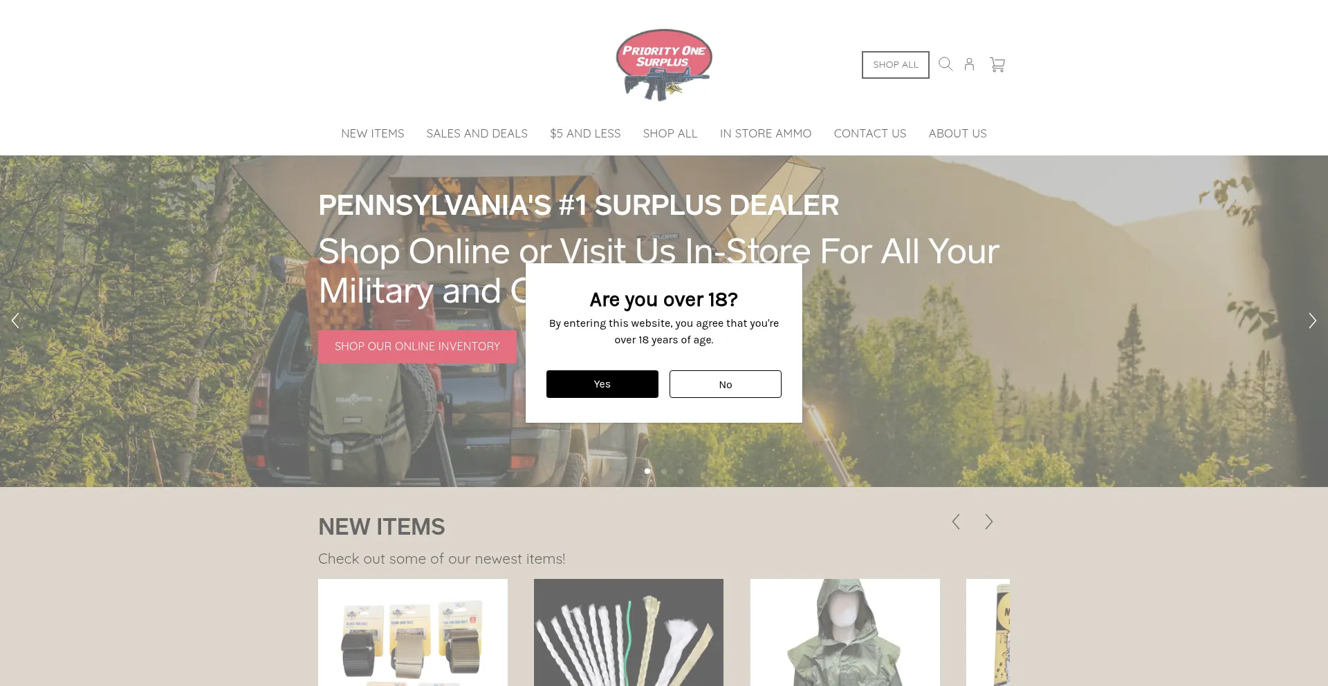 Website screenshot of Priorityonesurplus.com