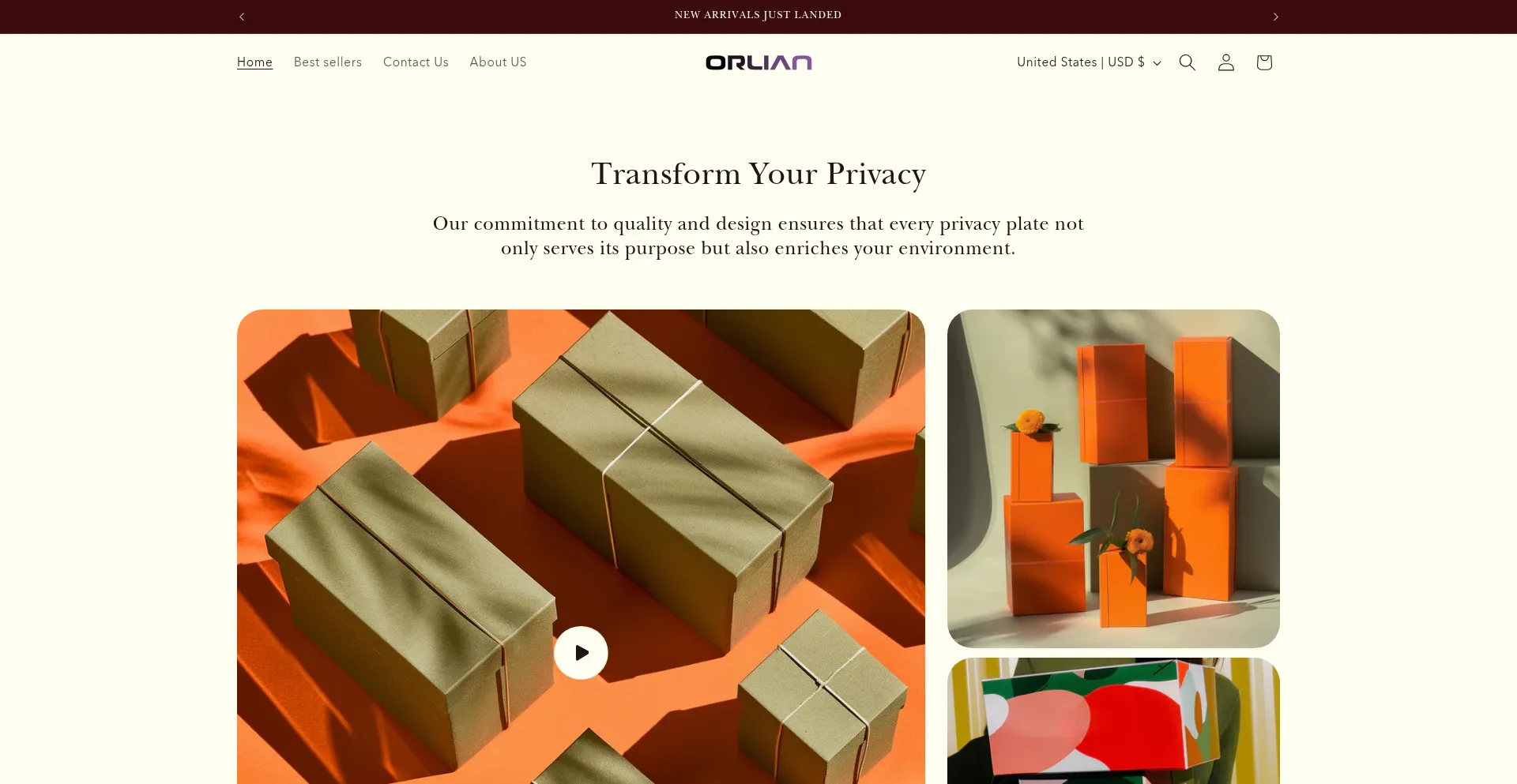 Website screenshot of Privacyplates.shop