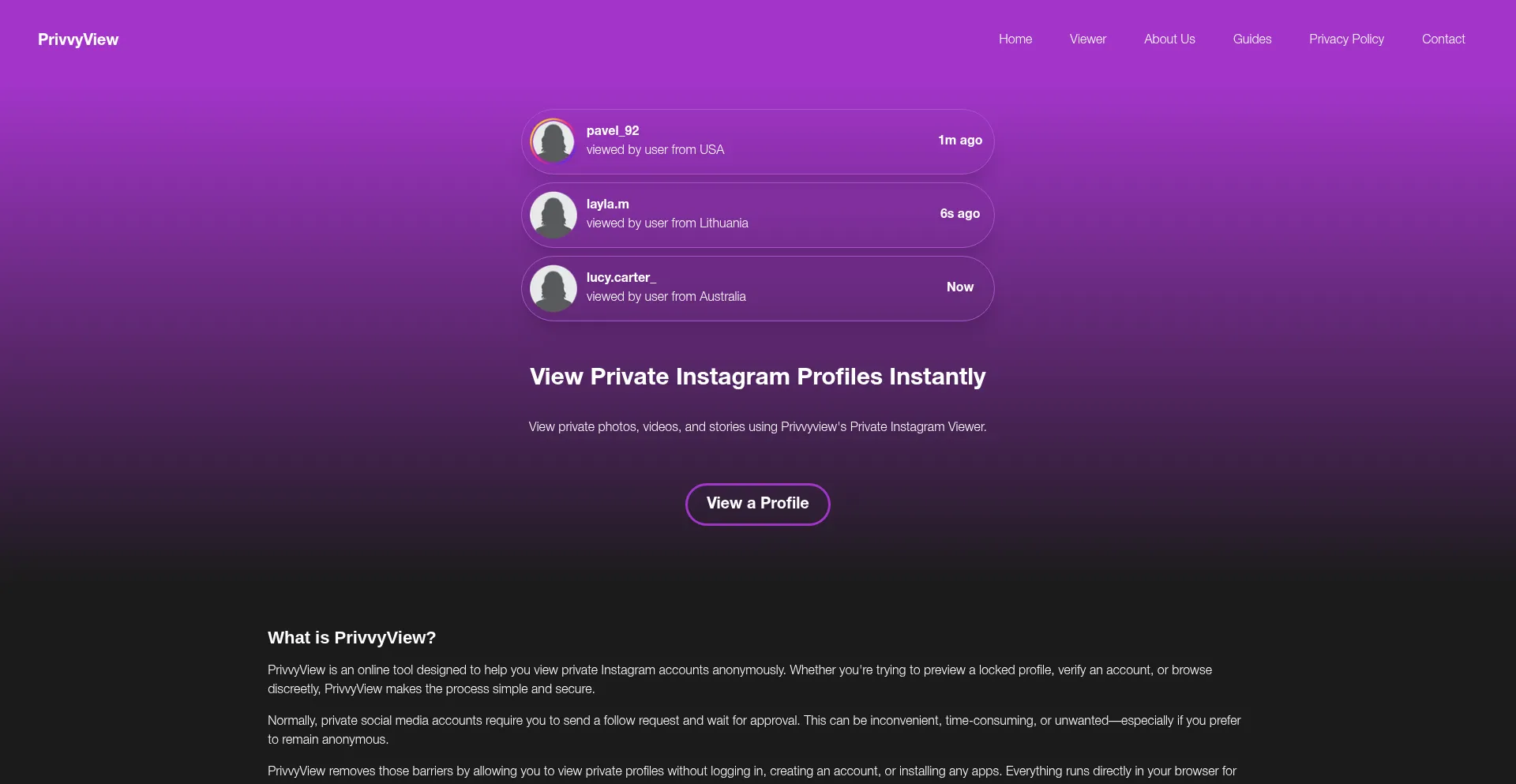 Privvyview.com