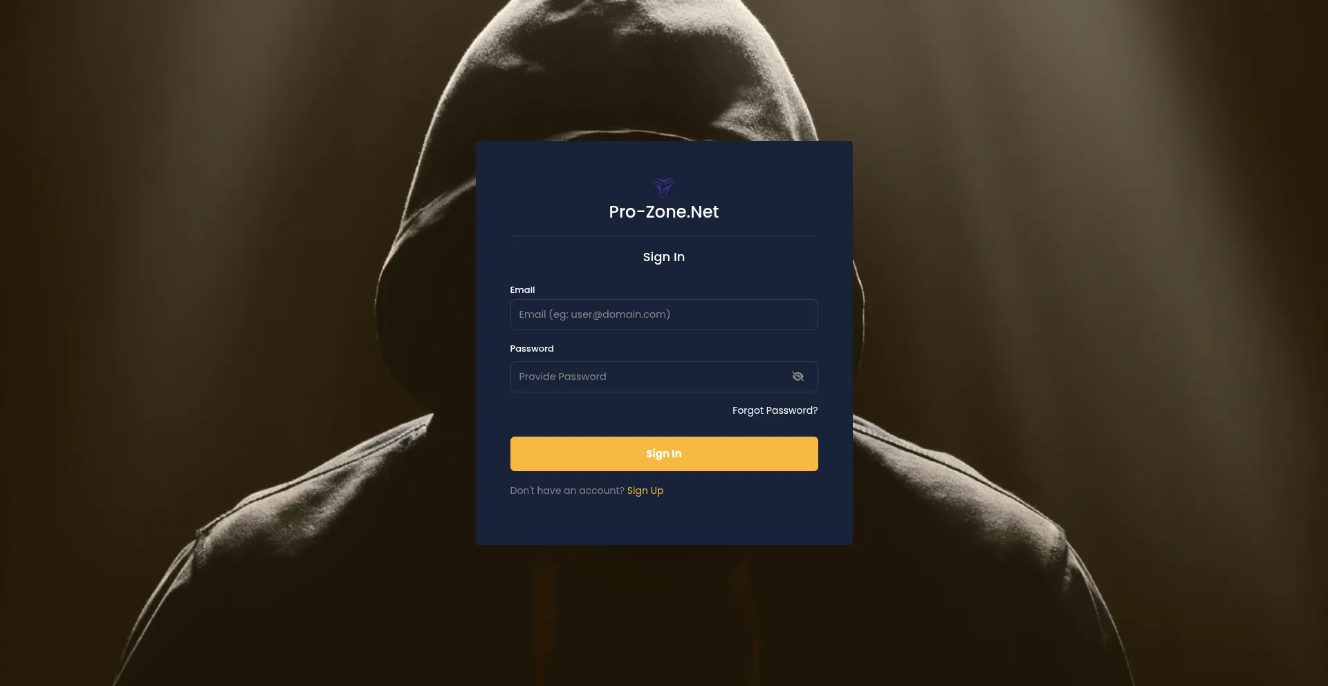 Website screenshot of Pro-zone.net