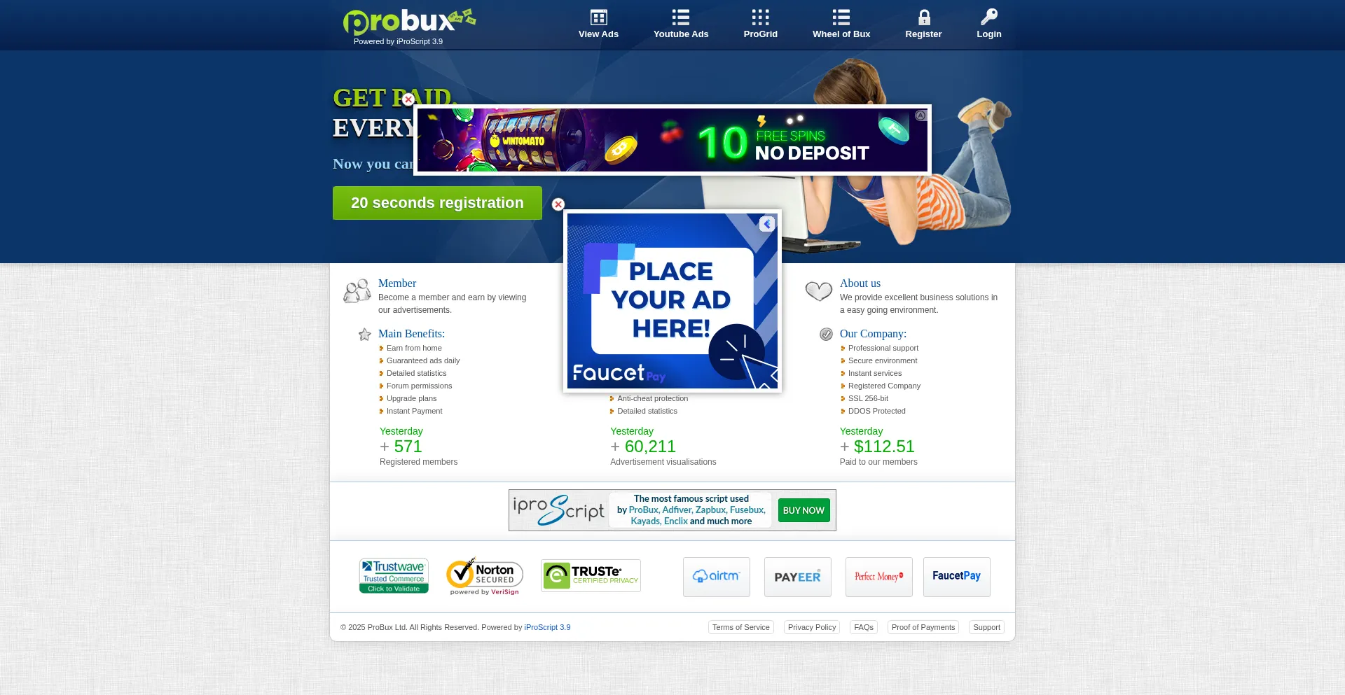 Website screenshot of Probux.net