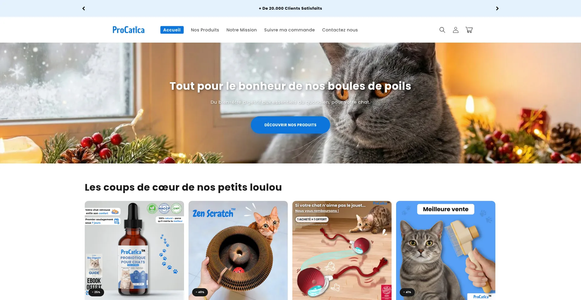Procatica.com