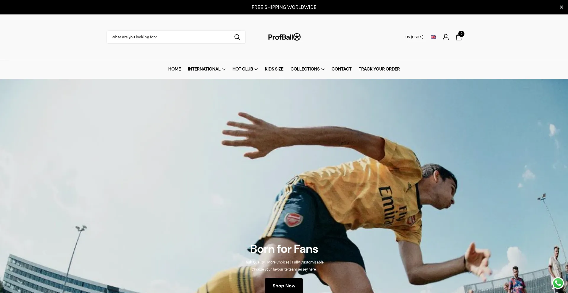 Website screenshot of Profball.com