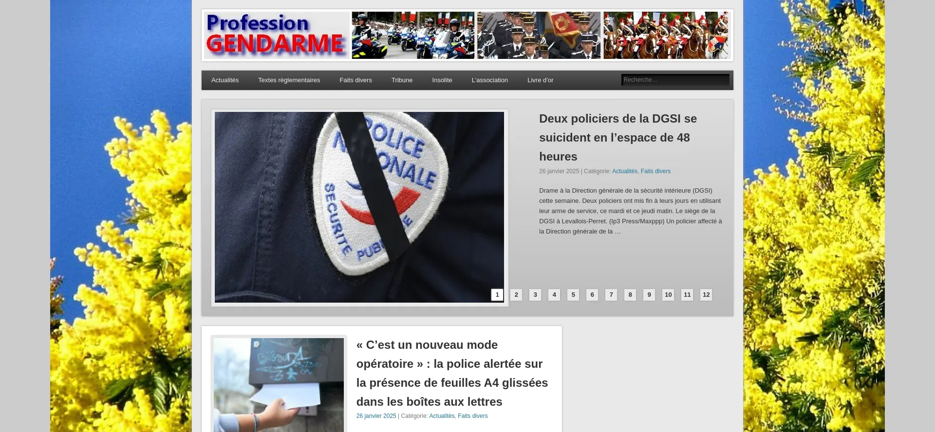 Website screenshot of Profession-gendarme.com