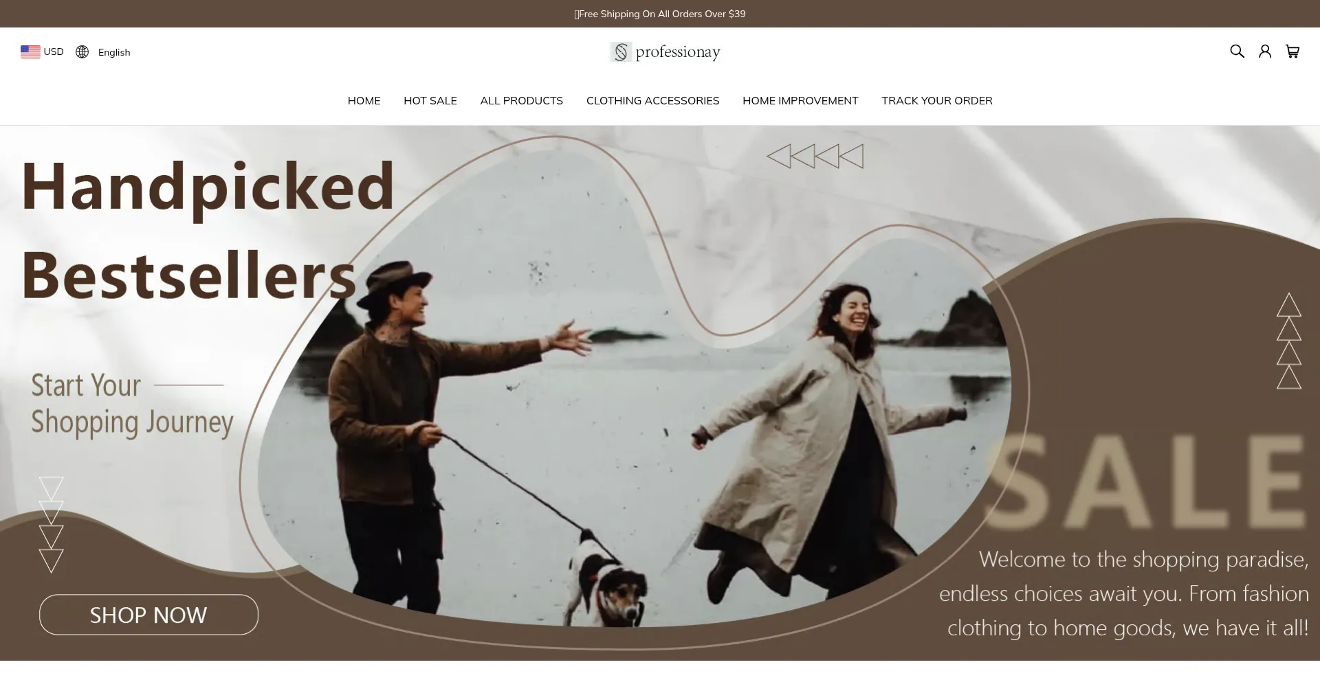Website screenshot of Professionay.com