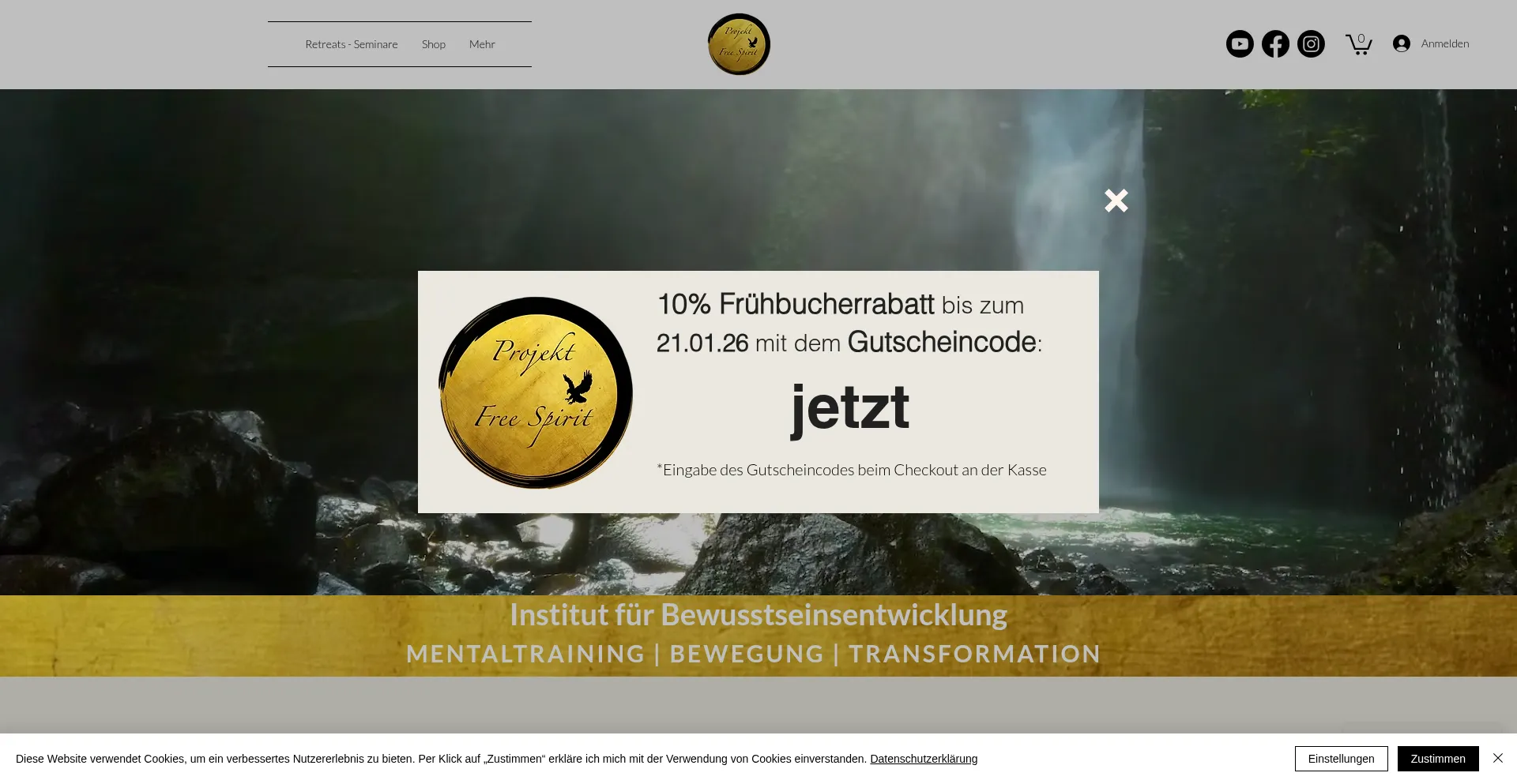 Website screenshot of Projekt-freespirit.net
