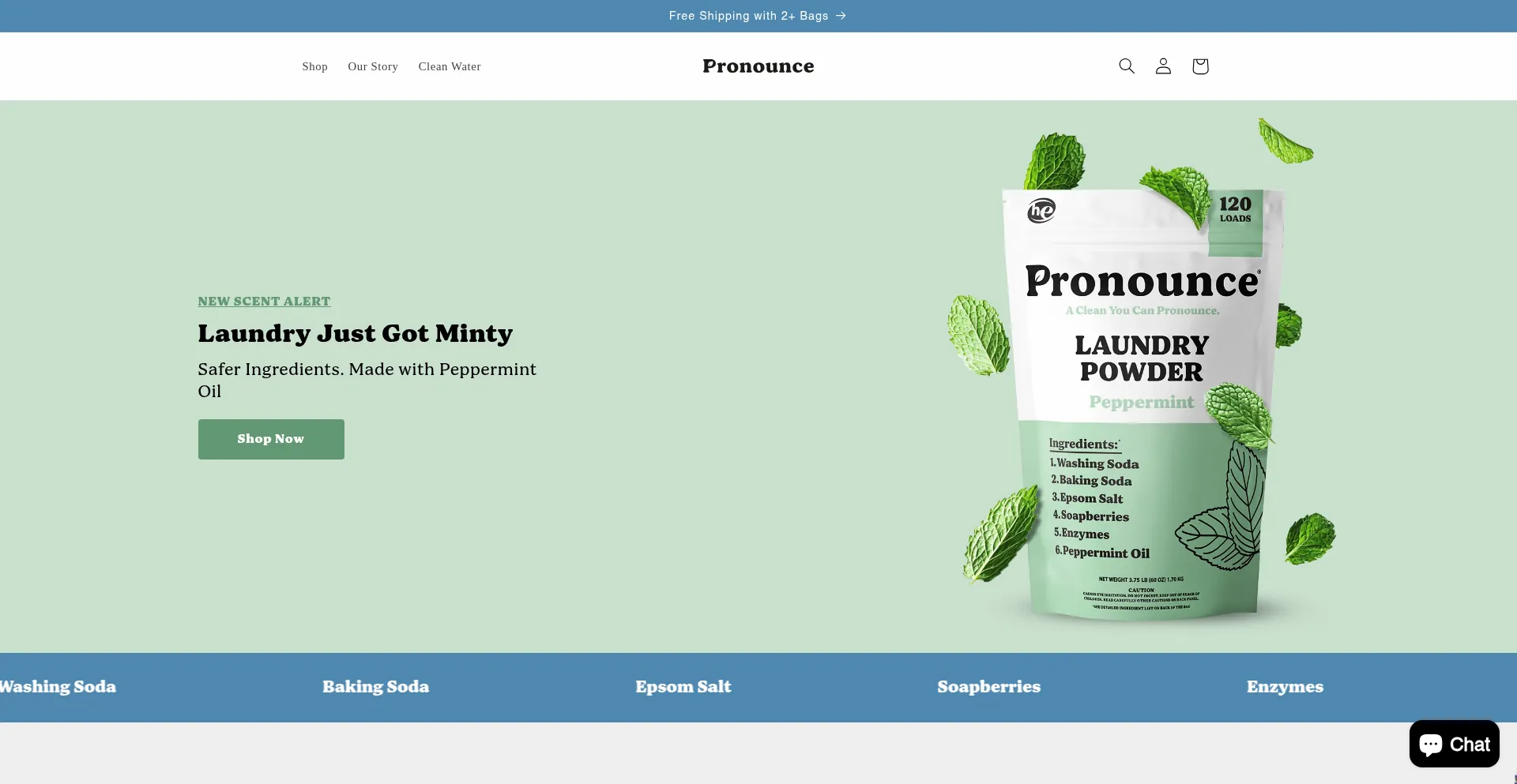Website screenshot of Pronouncelabs.com