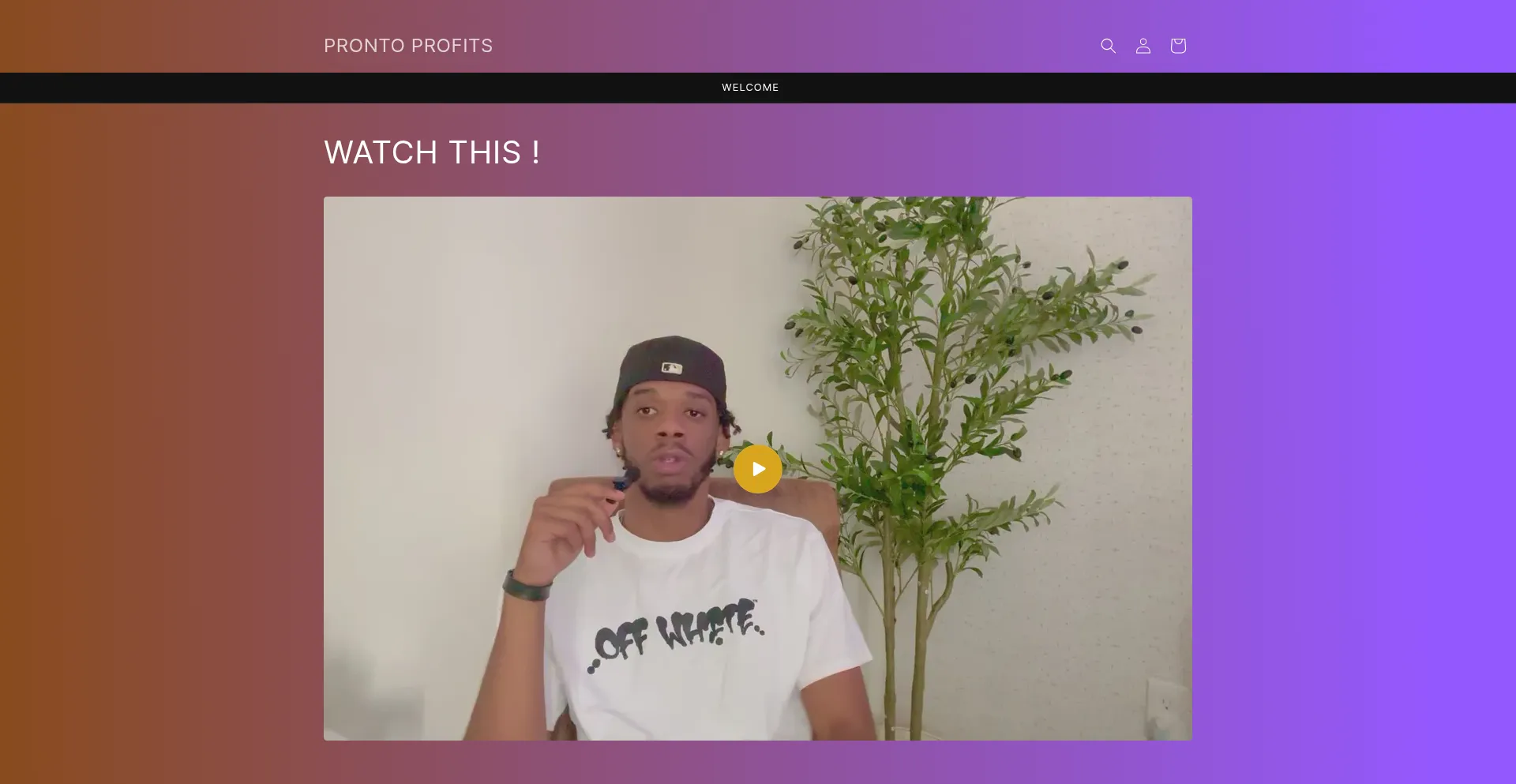 Prontoprofits.shop
