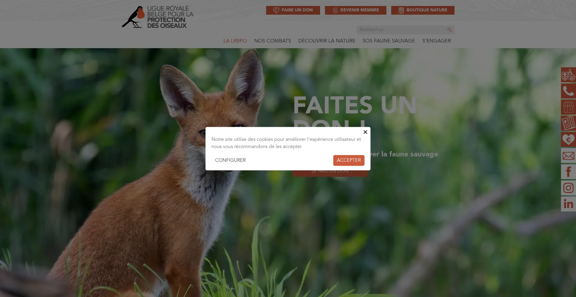 Protectiondesoiseaux.be