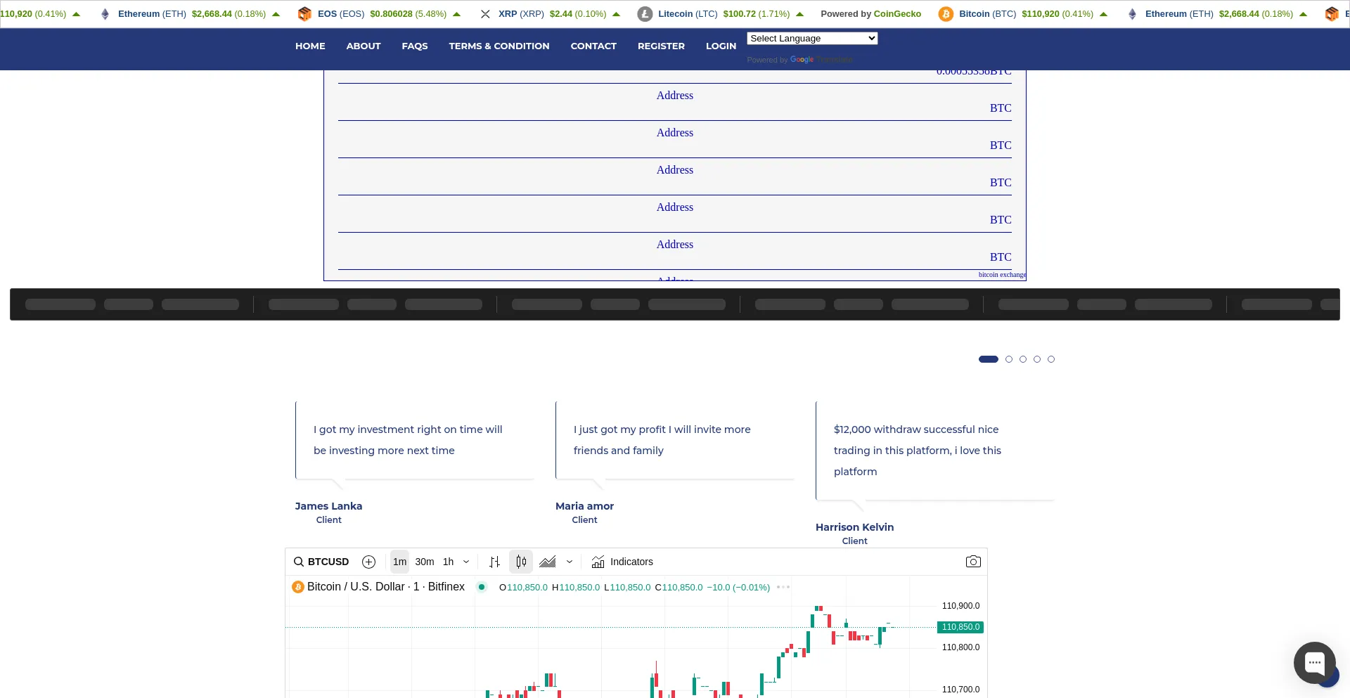 Protradersppips.live