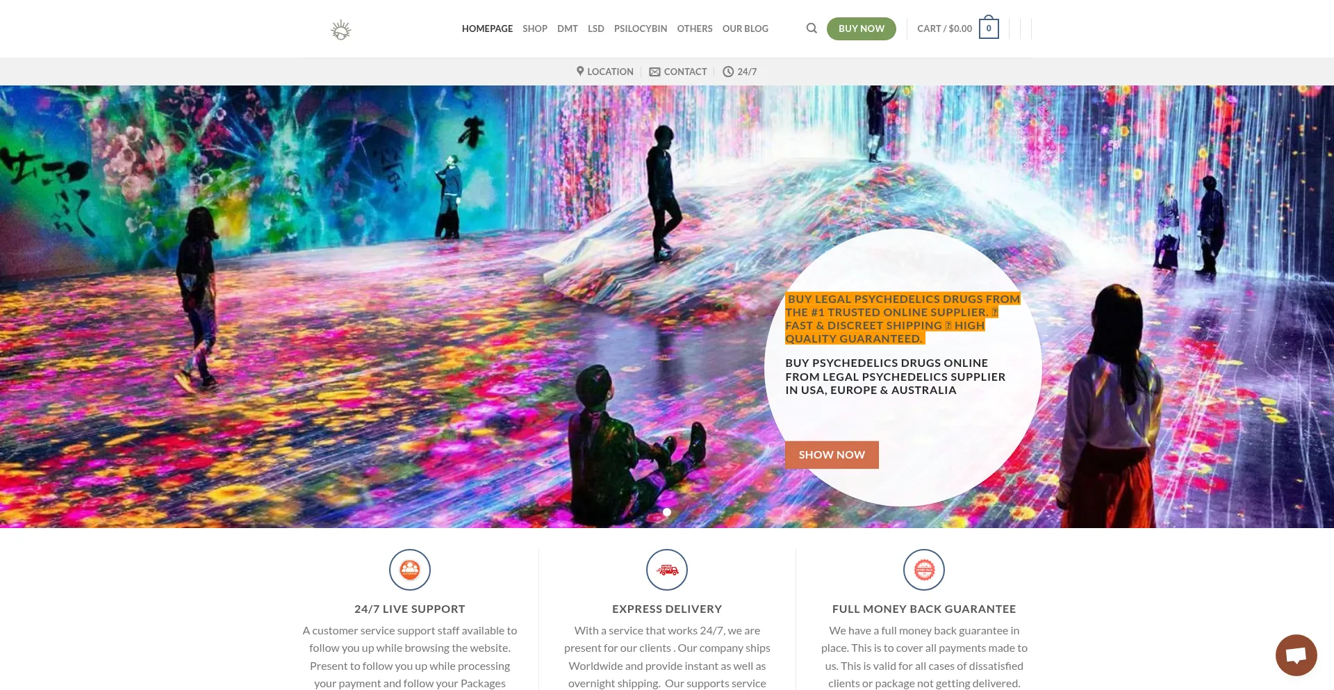 Website screenshot of Psychedelicdaytrip.com