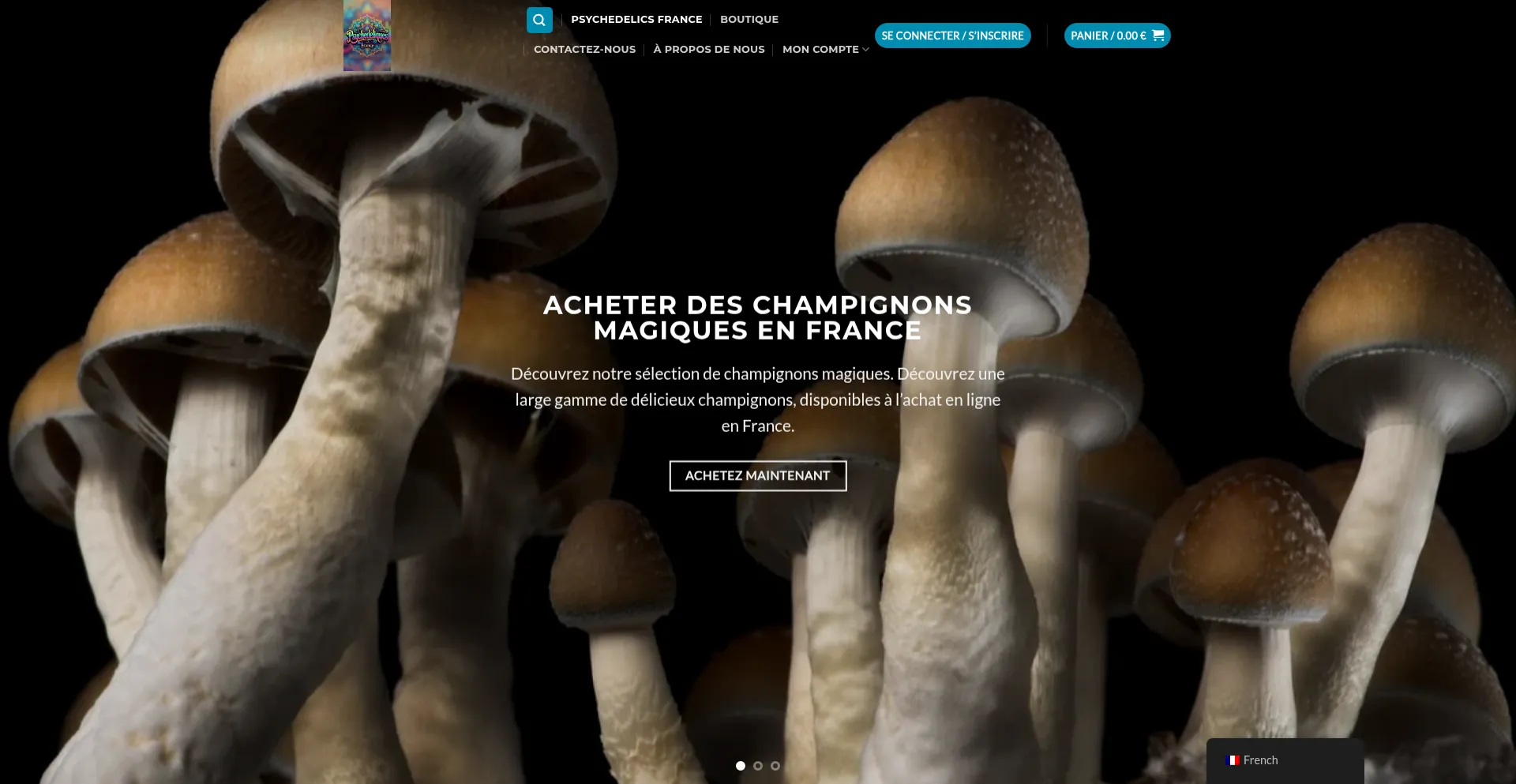 Psychedeliquesfrance.com