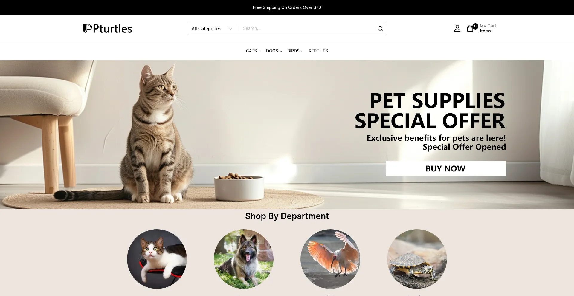 Website screenshot of Pturtles.com