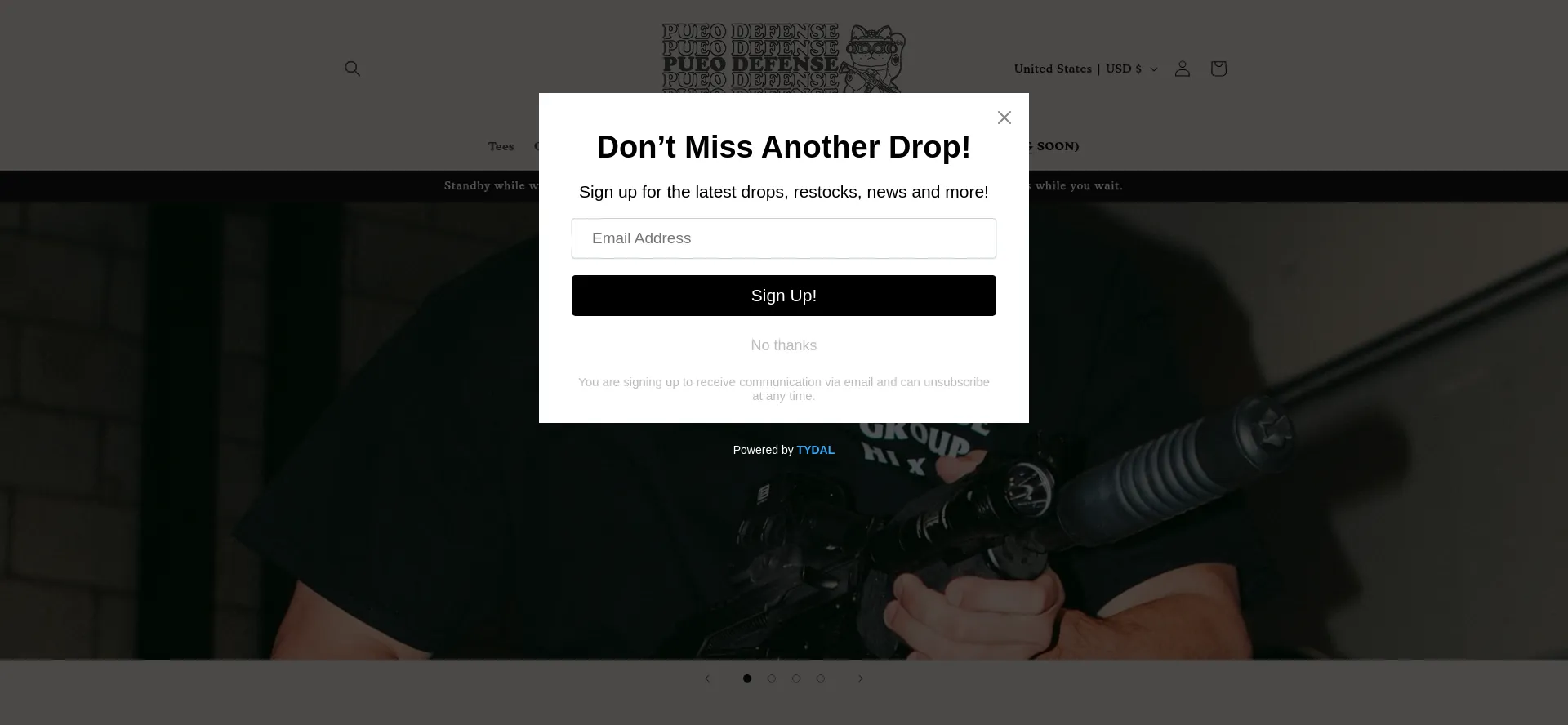 Website screenshot of Pueodefensegroup.com