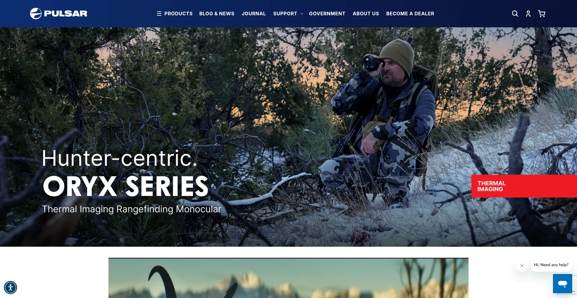 Website screenshot of Pulsarnv.com