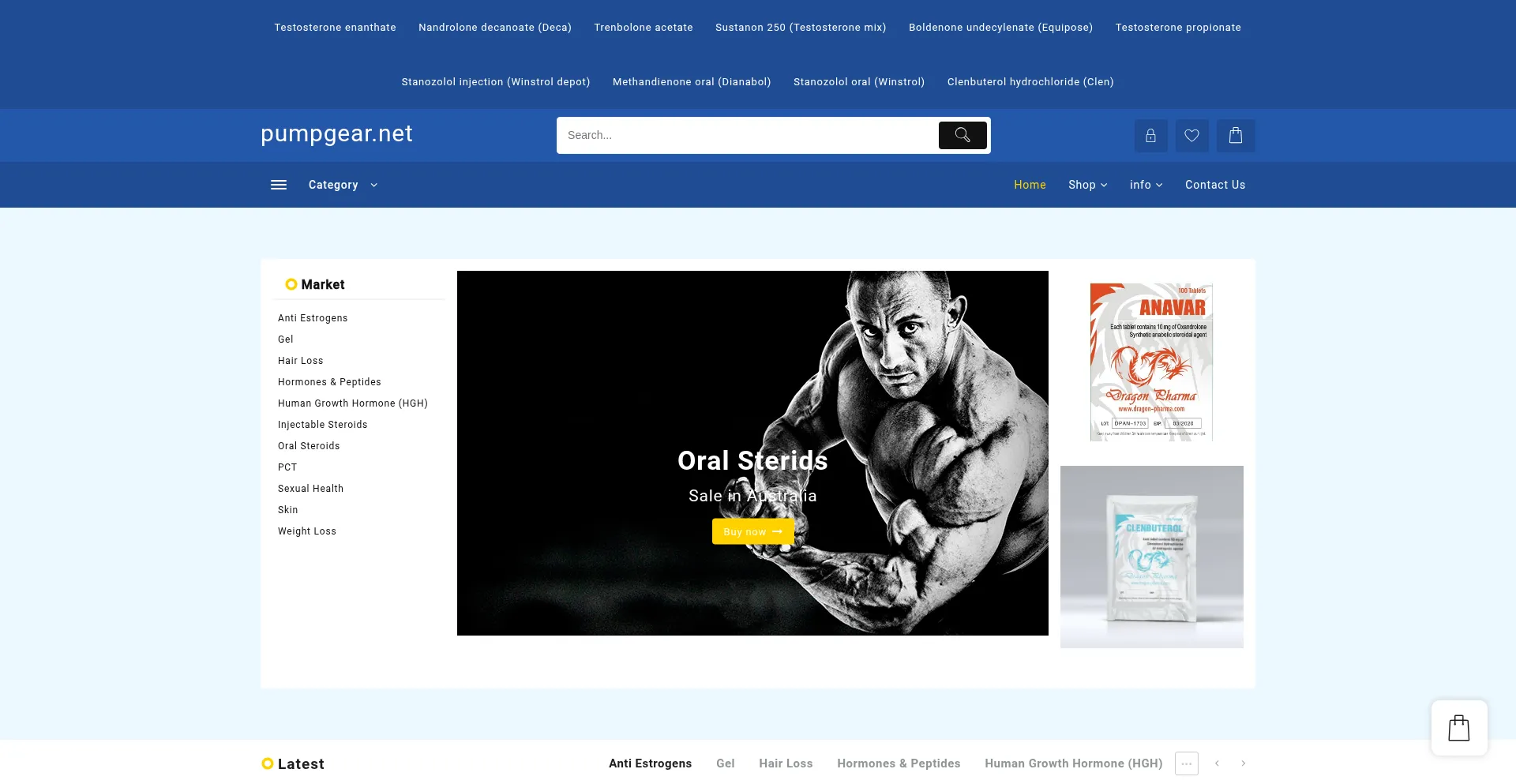 Website screenshot of Pumpgear.net