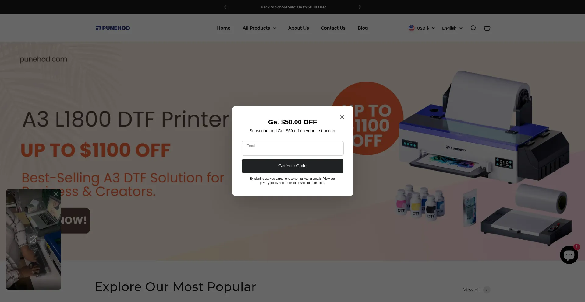 Website screenshot of Punehod.com
