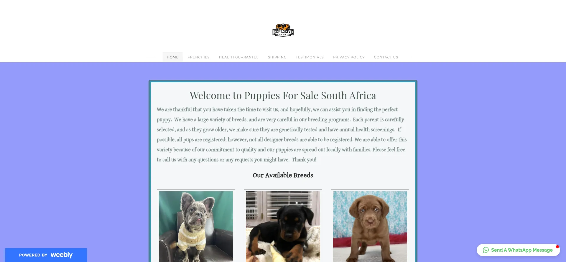 Puppiessa.weebly.com