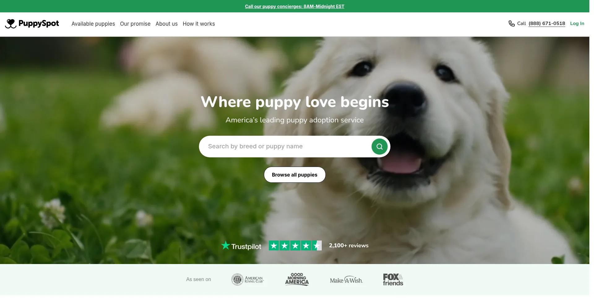 Puppyspot.com