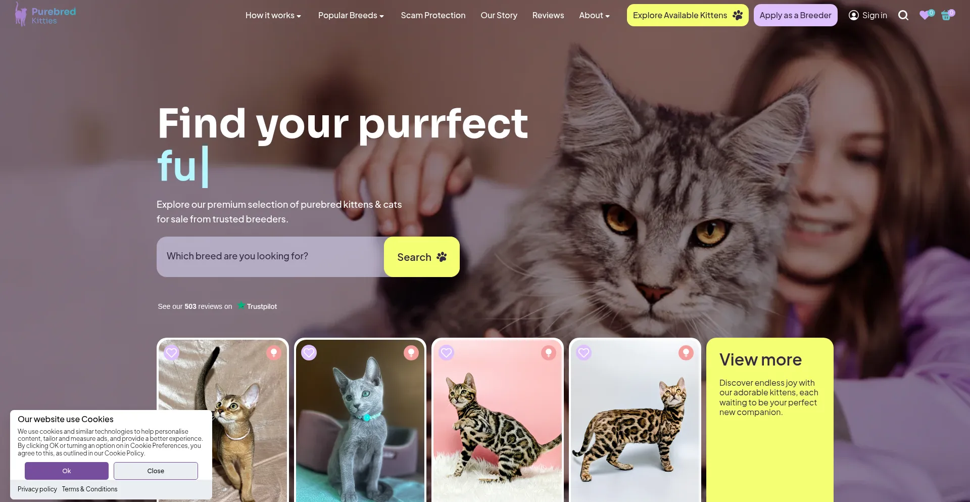 Purebredkitties.com