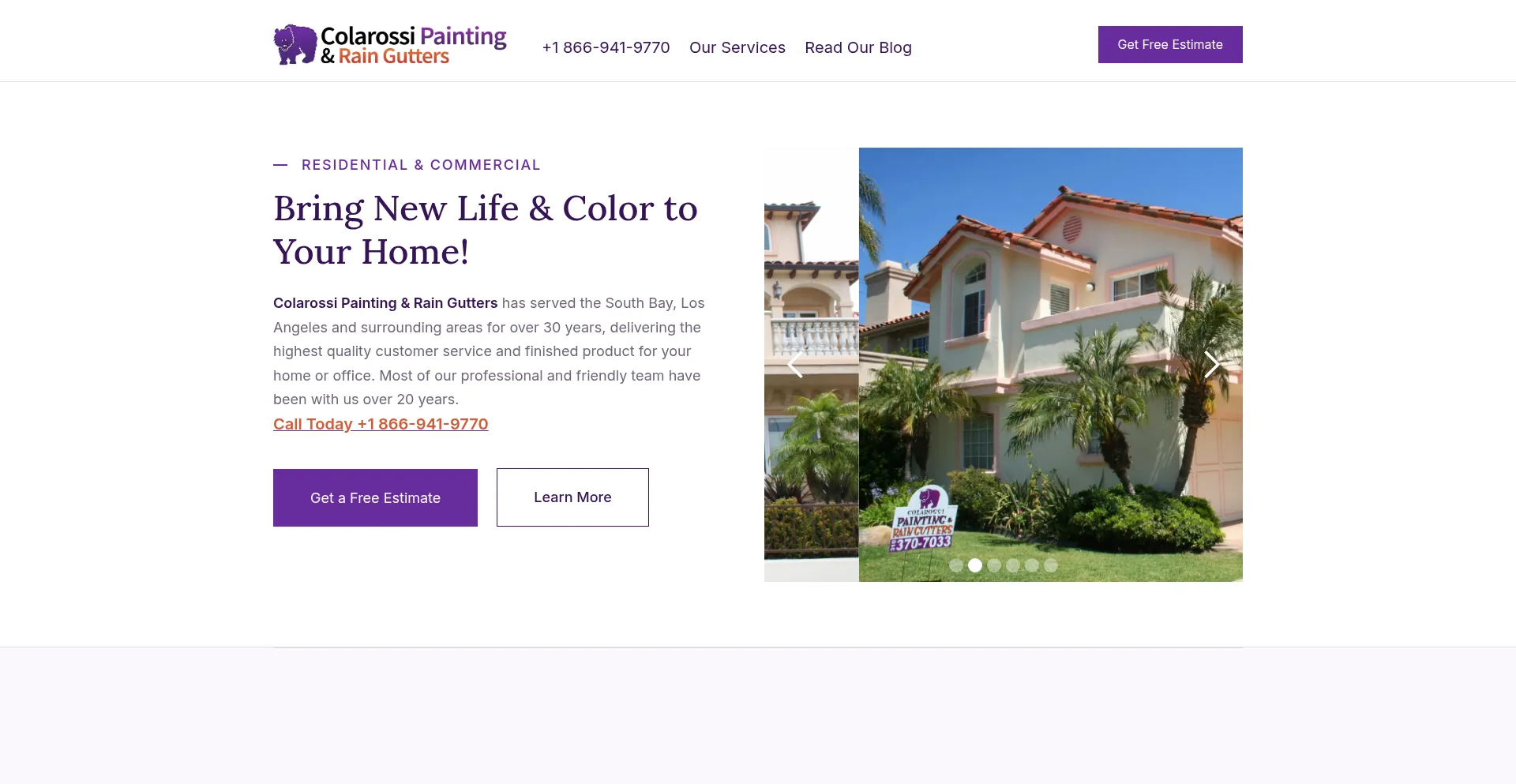Purplebear.com