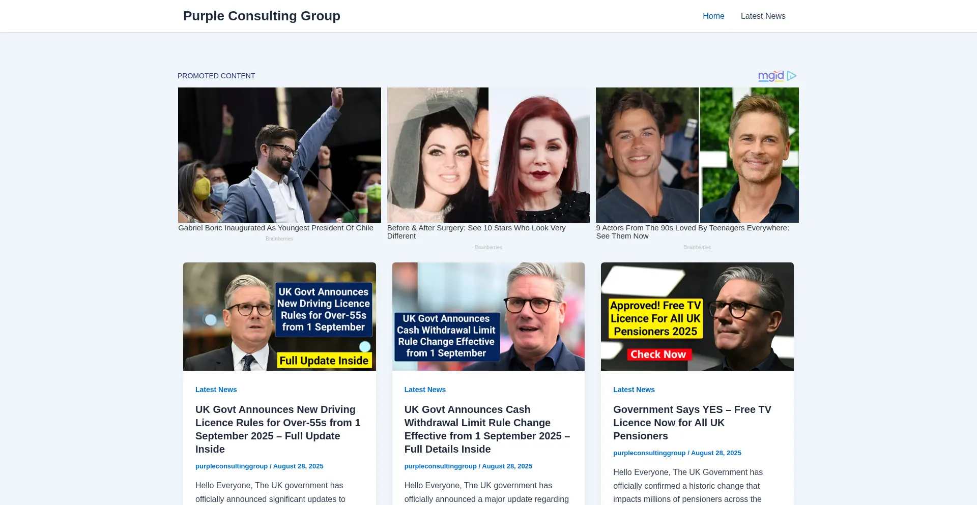 Website screenshot of Purpleconsultinggroup.com
