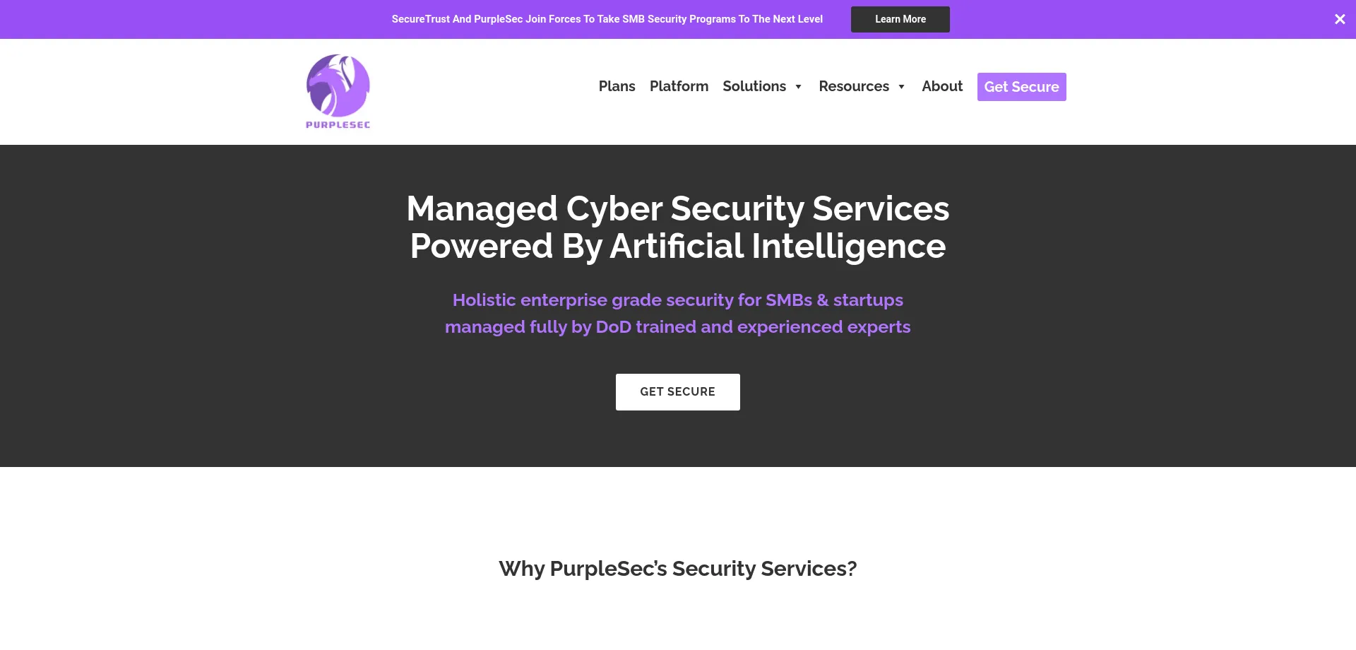 Website screenshot of Purplesec.us