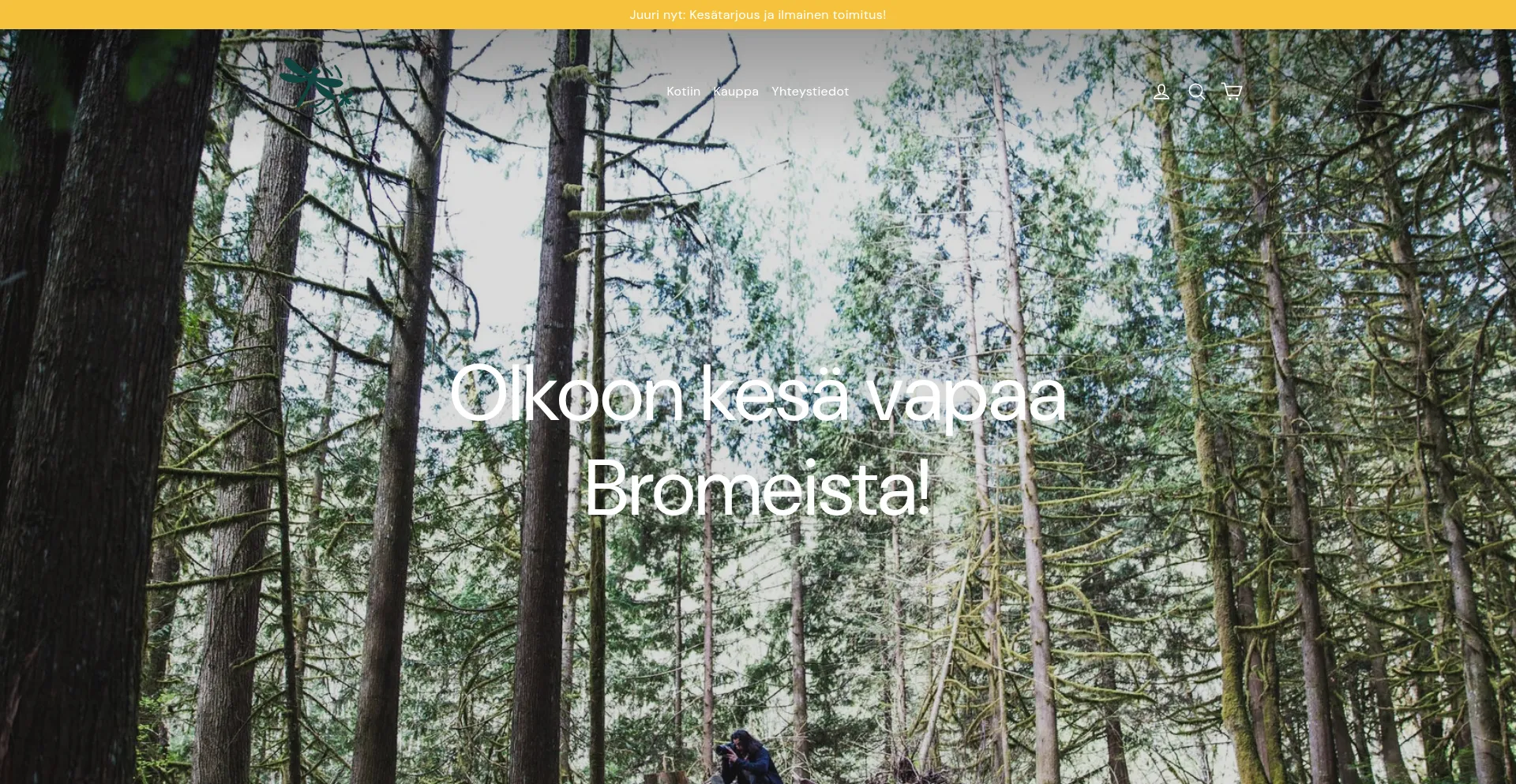 Website screenshot of Pysaytapaarma.fi