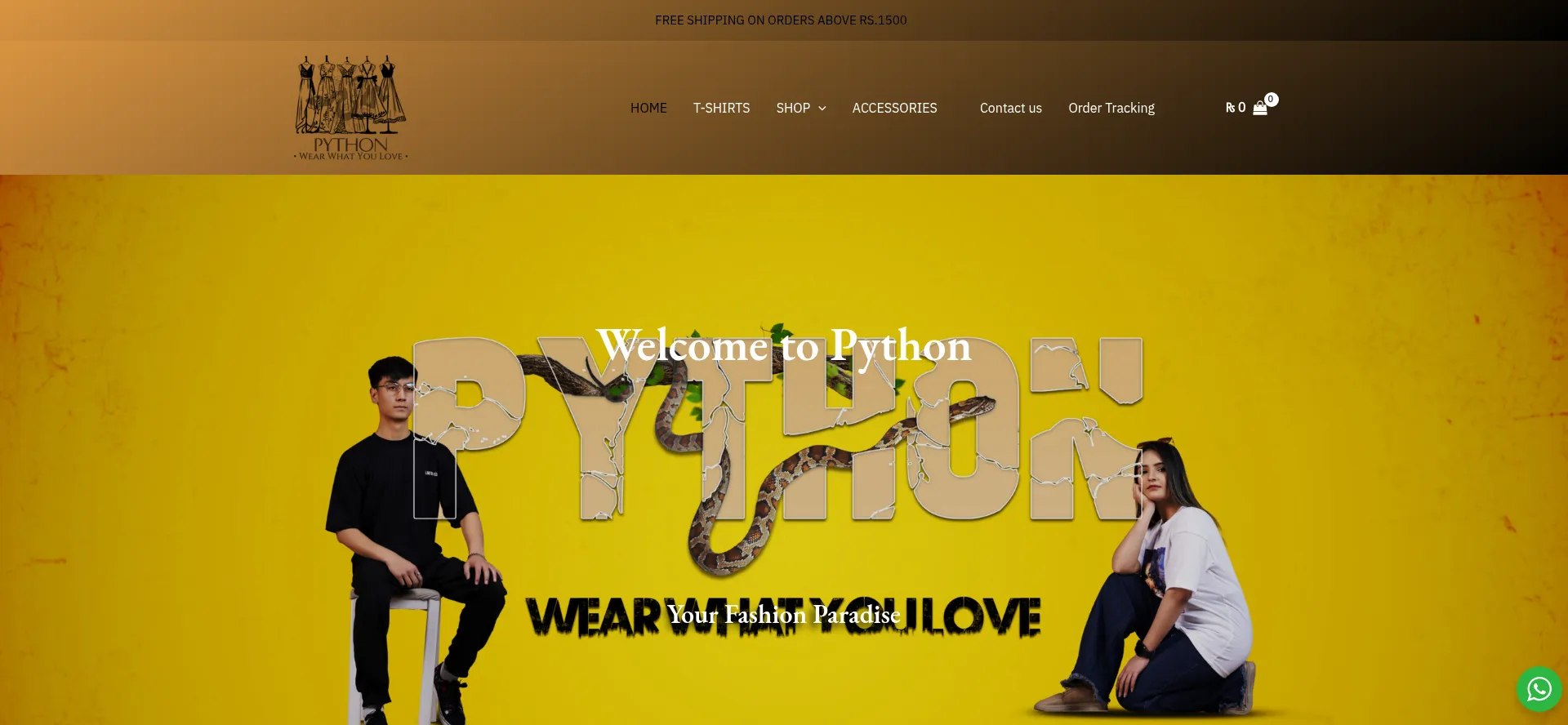 Website screenshot of Pythoonn.com