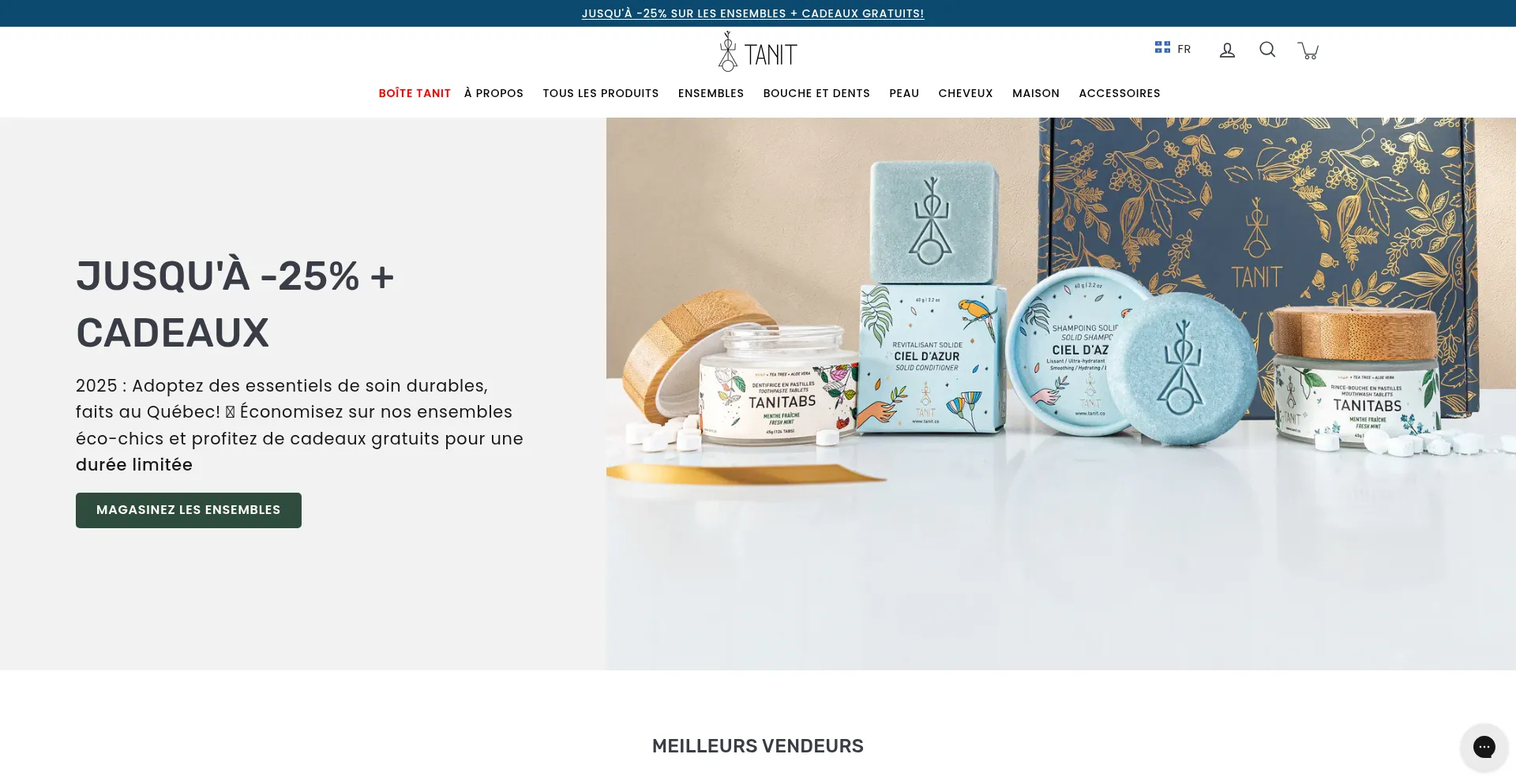 Website screenshot of Qc.tanit.co