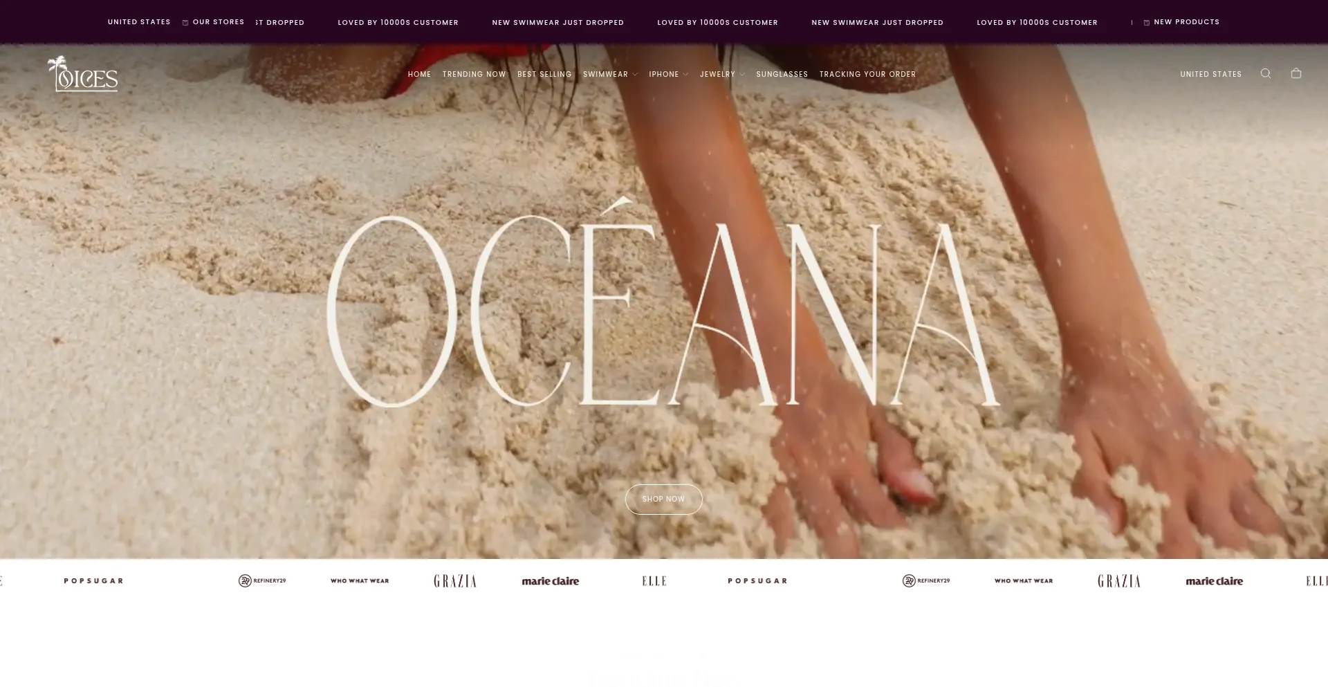 Website screenshot of Qices.com