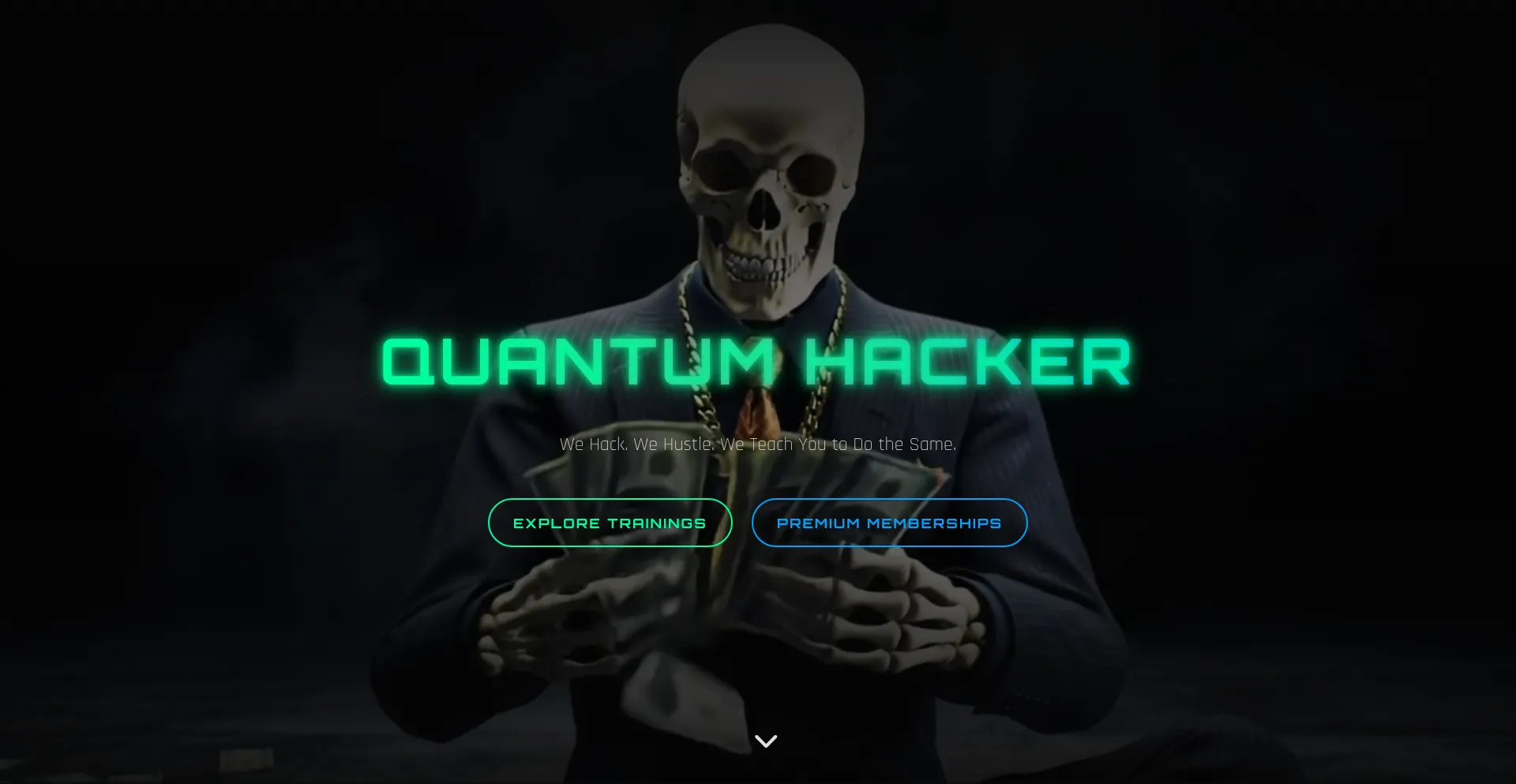 Website screenshot of Quantumhacker.pro
