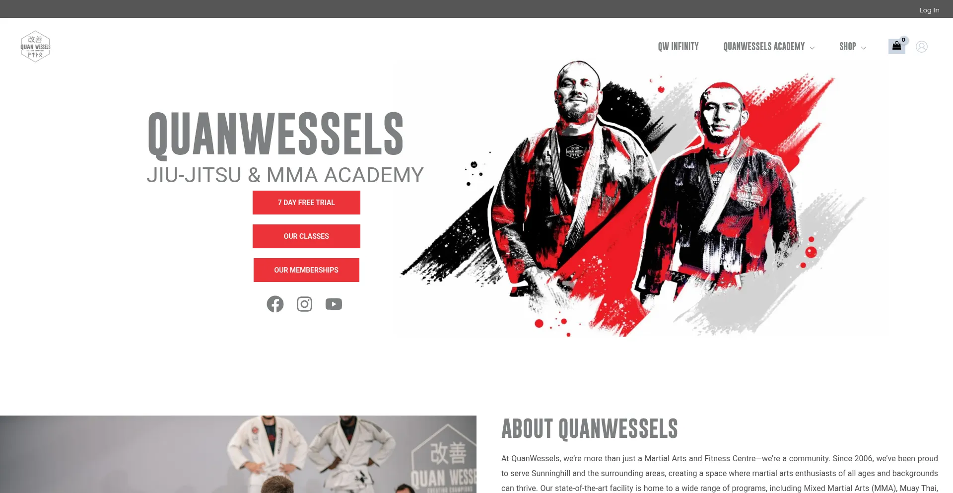 Website screenshot of Quanwessels.co.za