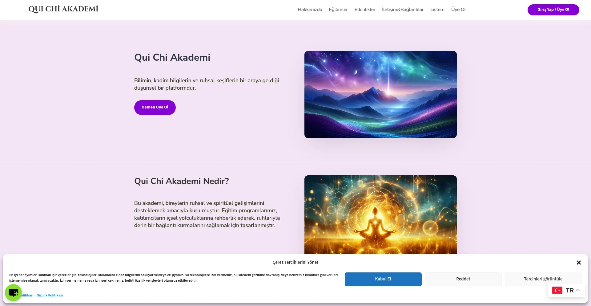Website screenshot of Quichiakademi.org