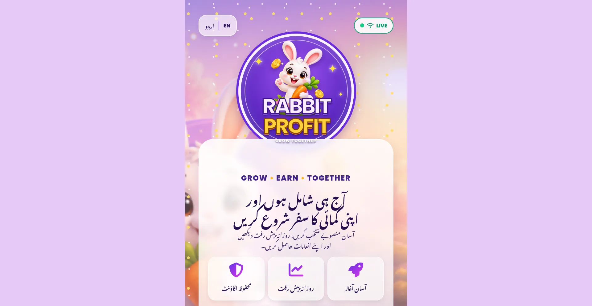 Rabbitprofit.pro