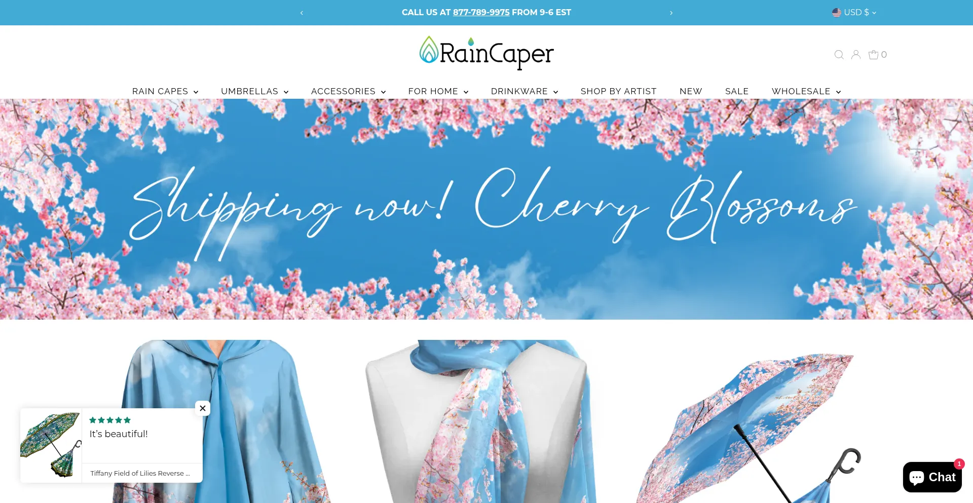 Website screenshot of Raincaper.com