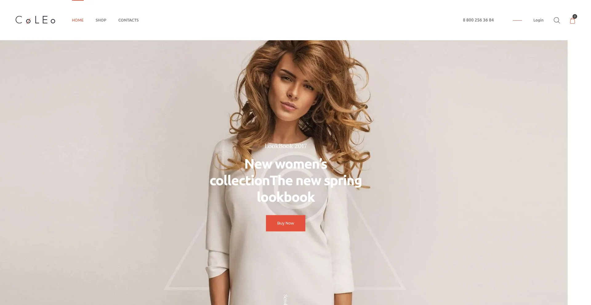 Website screenshot of Rapidfinil.pro