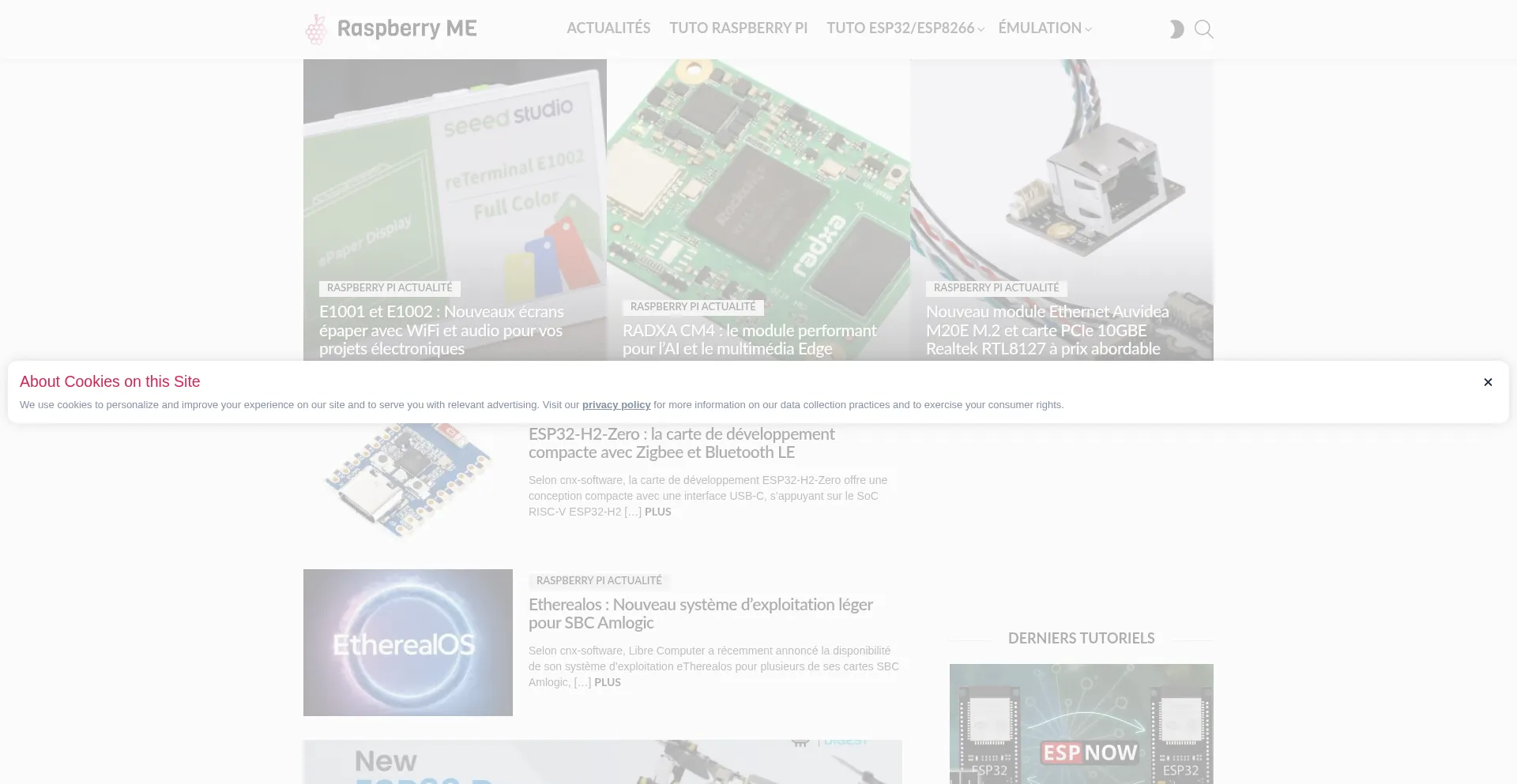 Website screenshot of Raspberryme.com