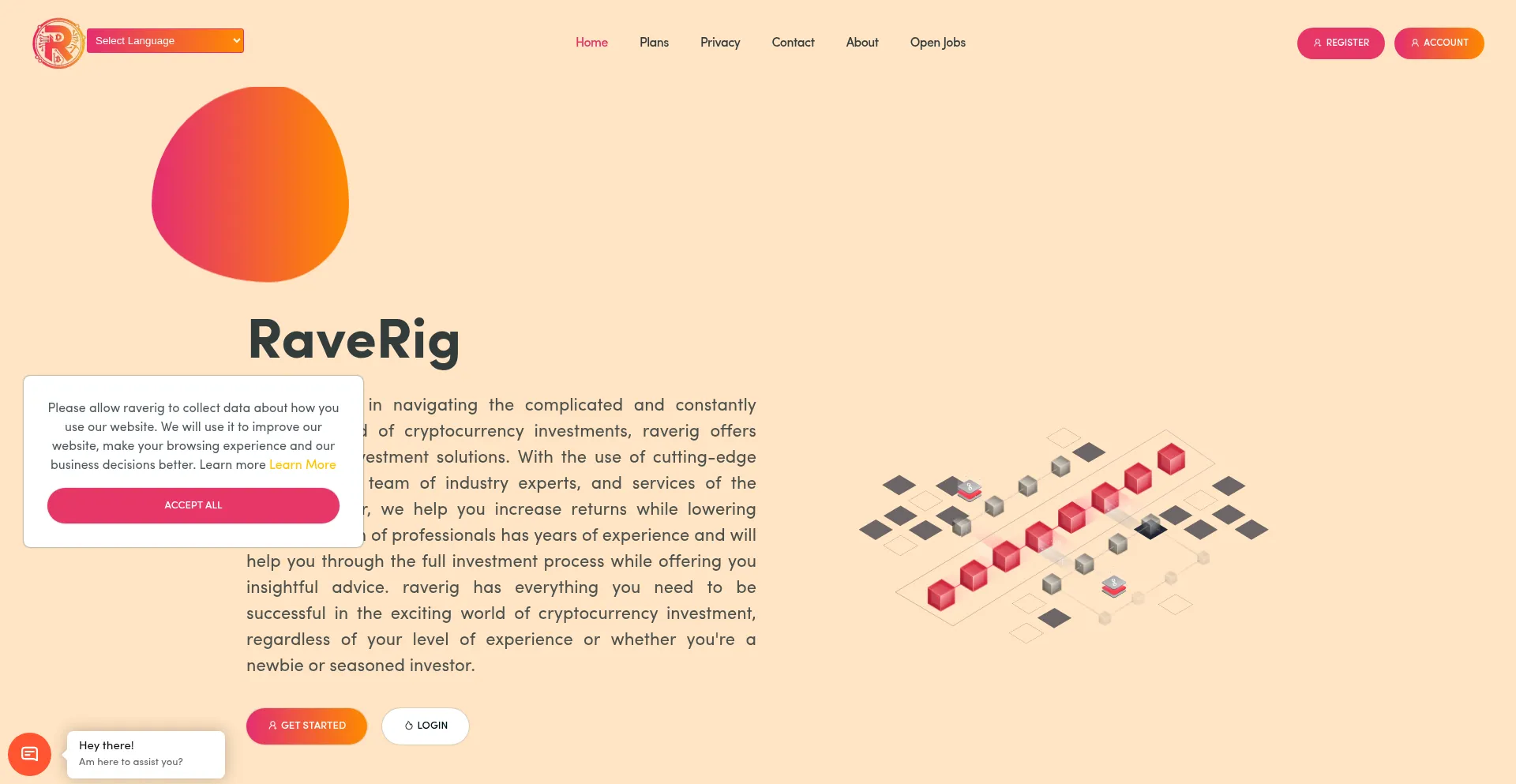 Raverig.com