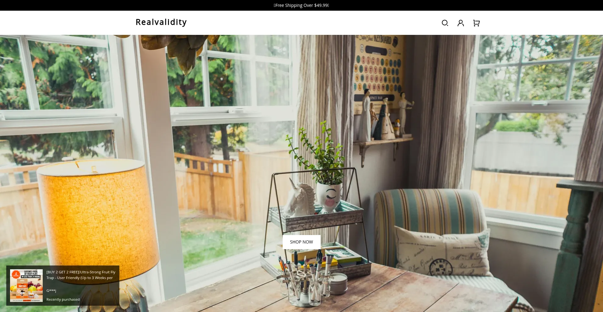 Website screenshot of Realvalidity.com