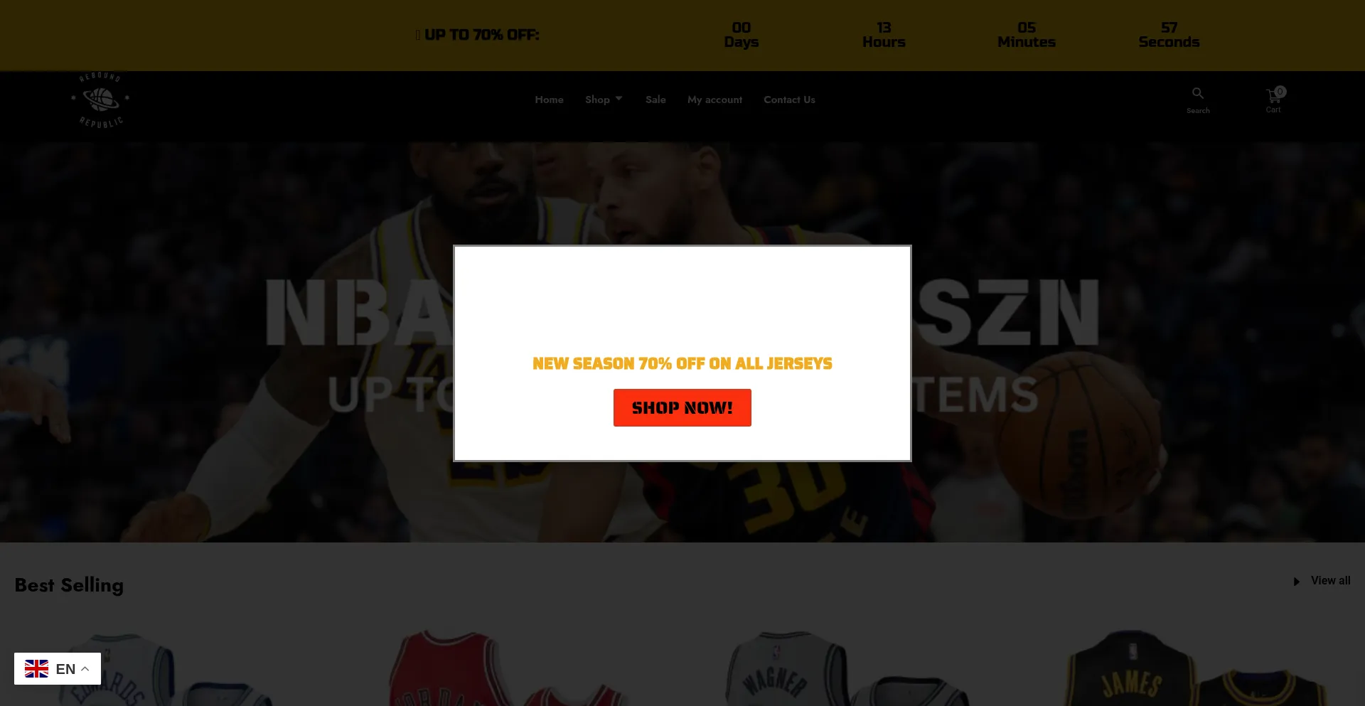 Website screenshot of Reboundrepublic.com