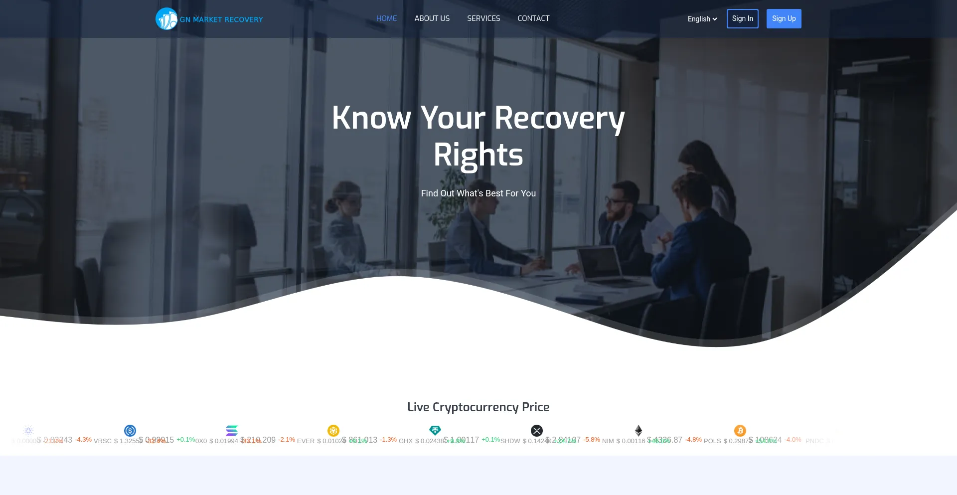 Website screenshot of Recoverygnm.com