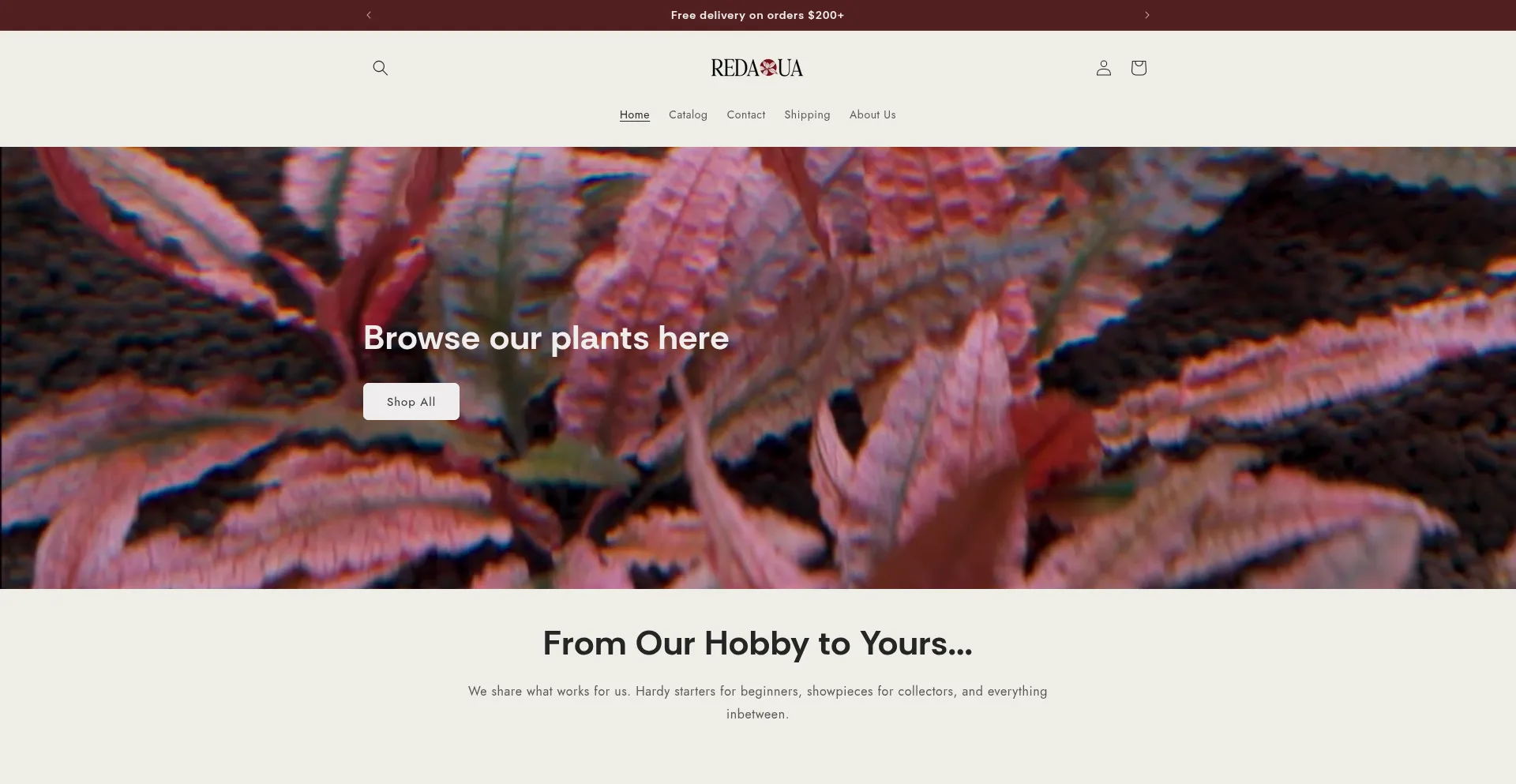 Website screenshot of Redaqua.com.au