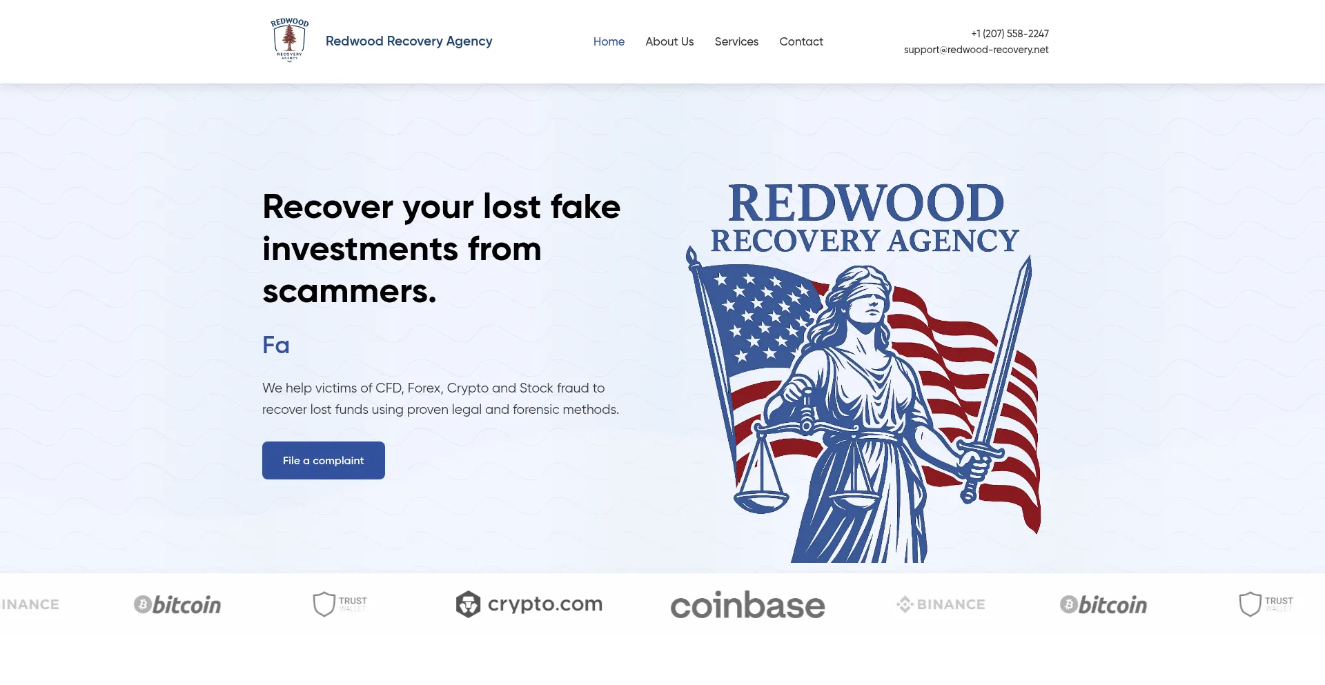 Website screenshot of Redwood-recovery.net