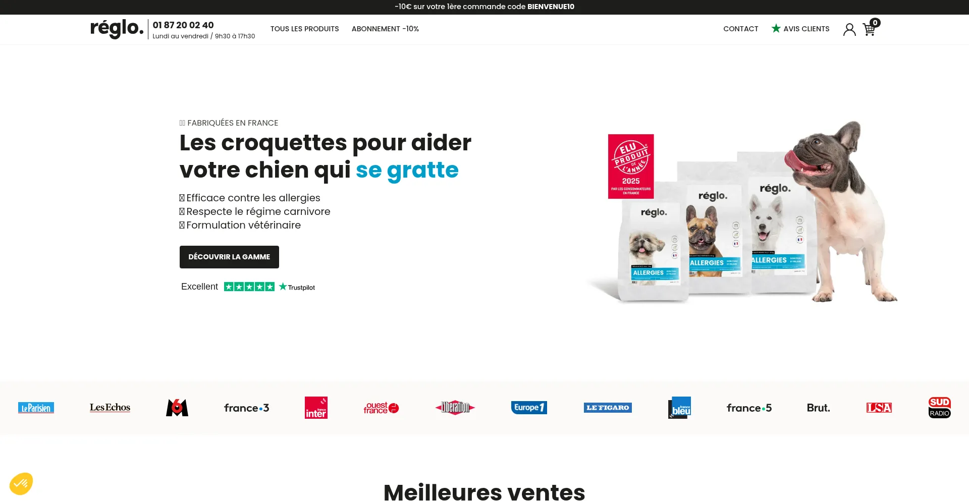 Website screenshot of Reglo.fr